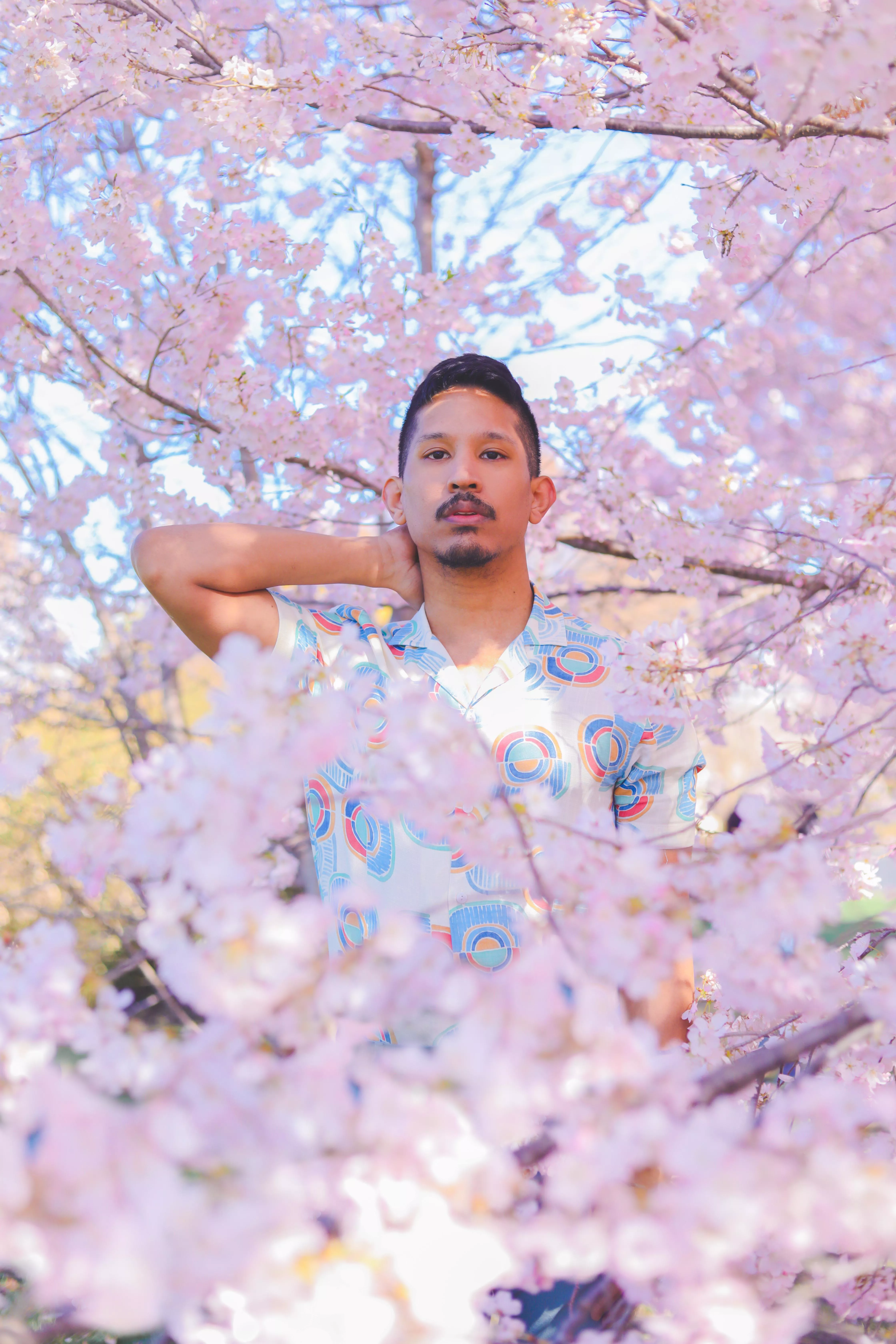 Happy Sunday from me and the cherry blossoms 🌸🇵🇭