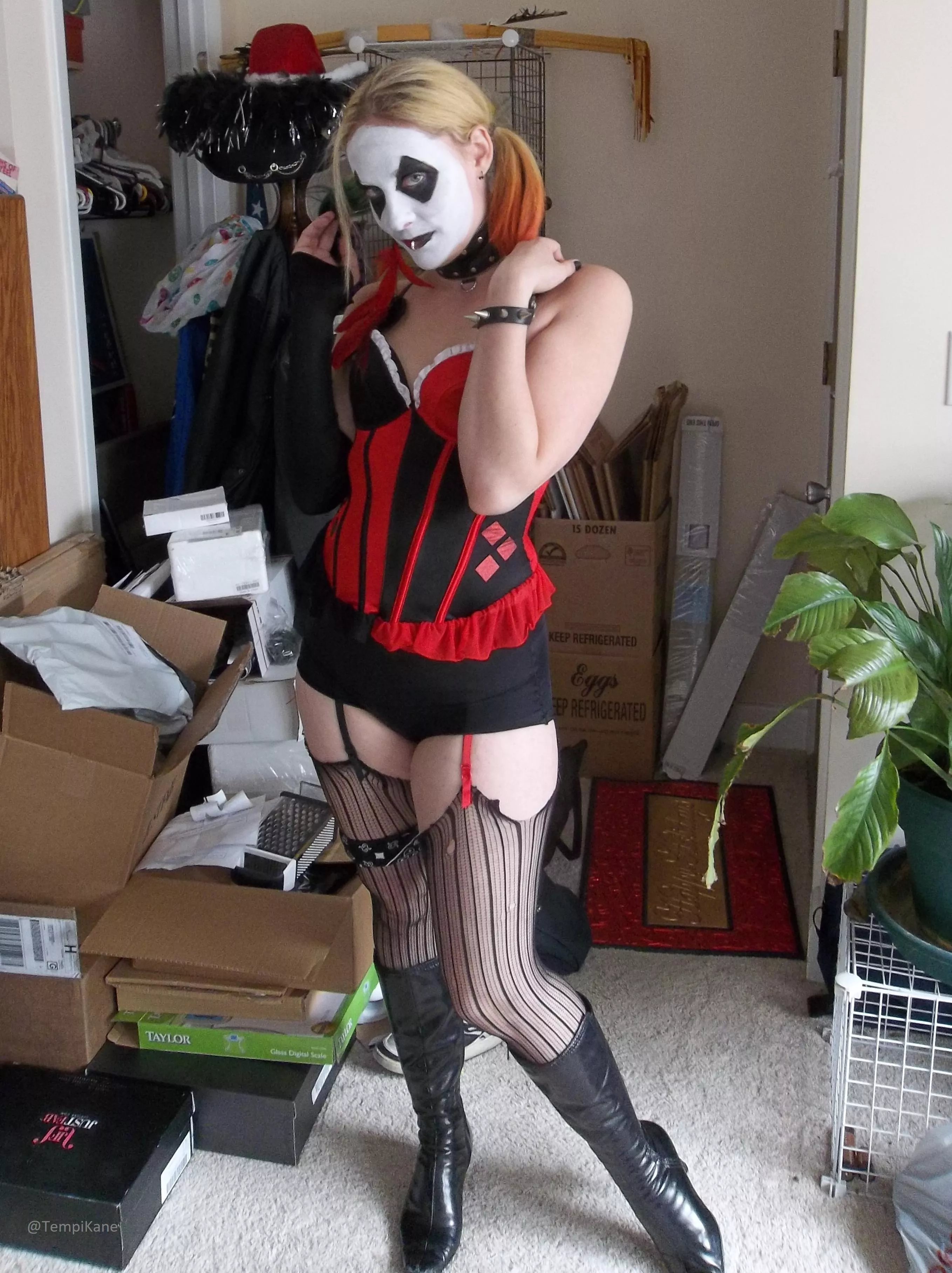 Harley by FoxyMortician (Self)