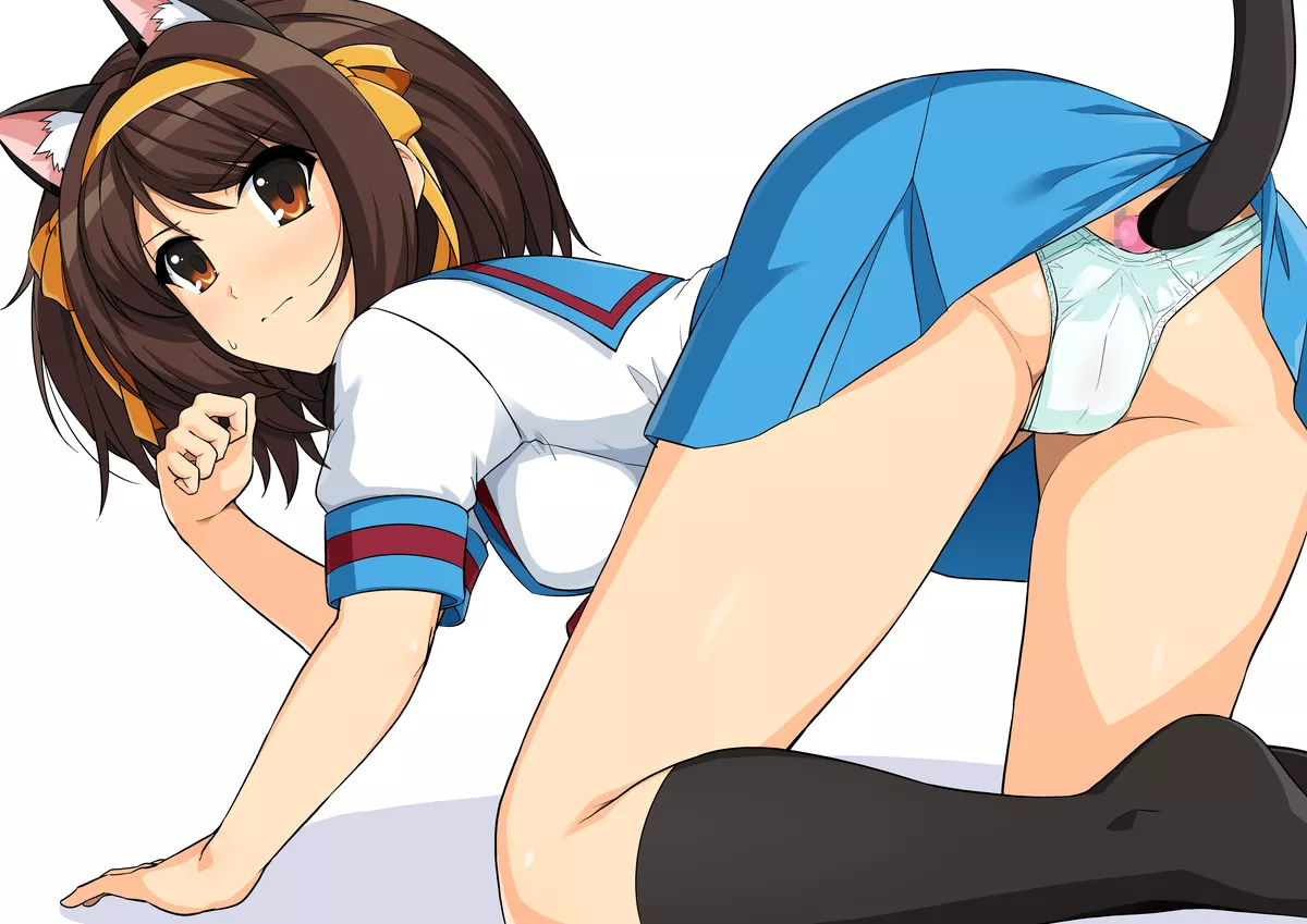 Haruhi Cat Girl Tail Plug