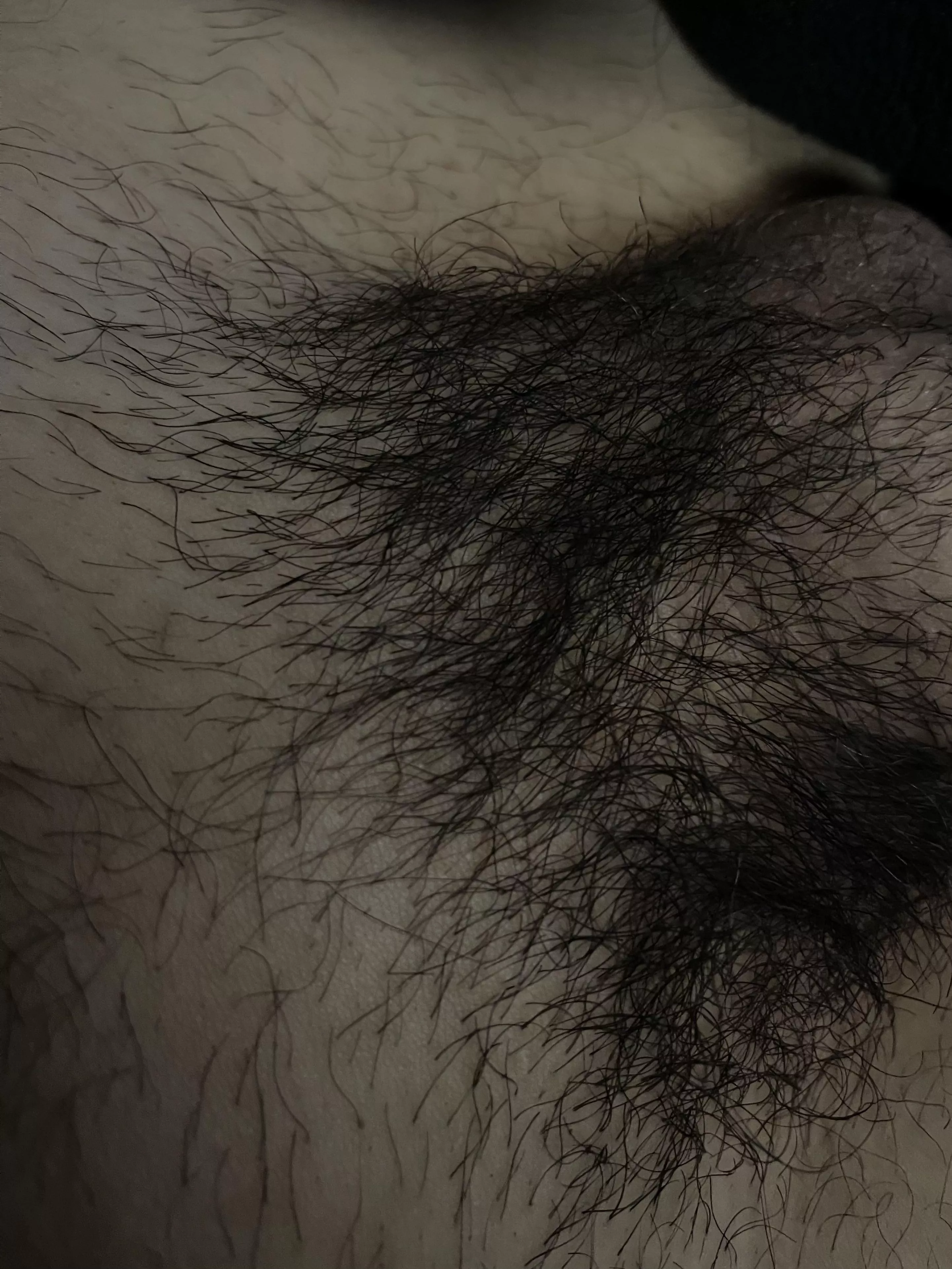 have been letting the pubic hair grow out again how’s it lookin??