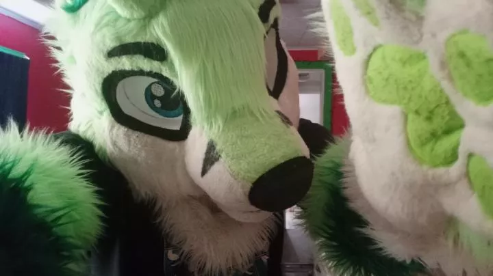 hello cutie (Fursuit Friday 4/22/22)