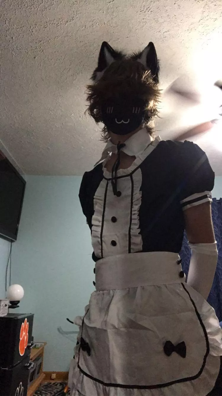 â€œhello iâ€™m the new maidâ€