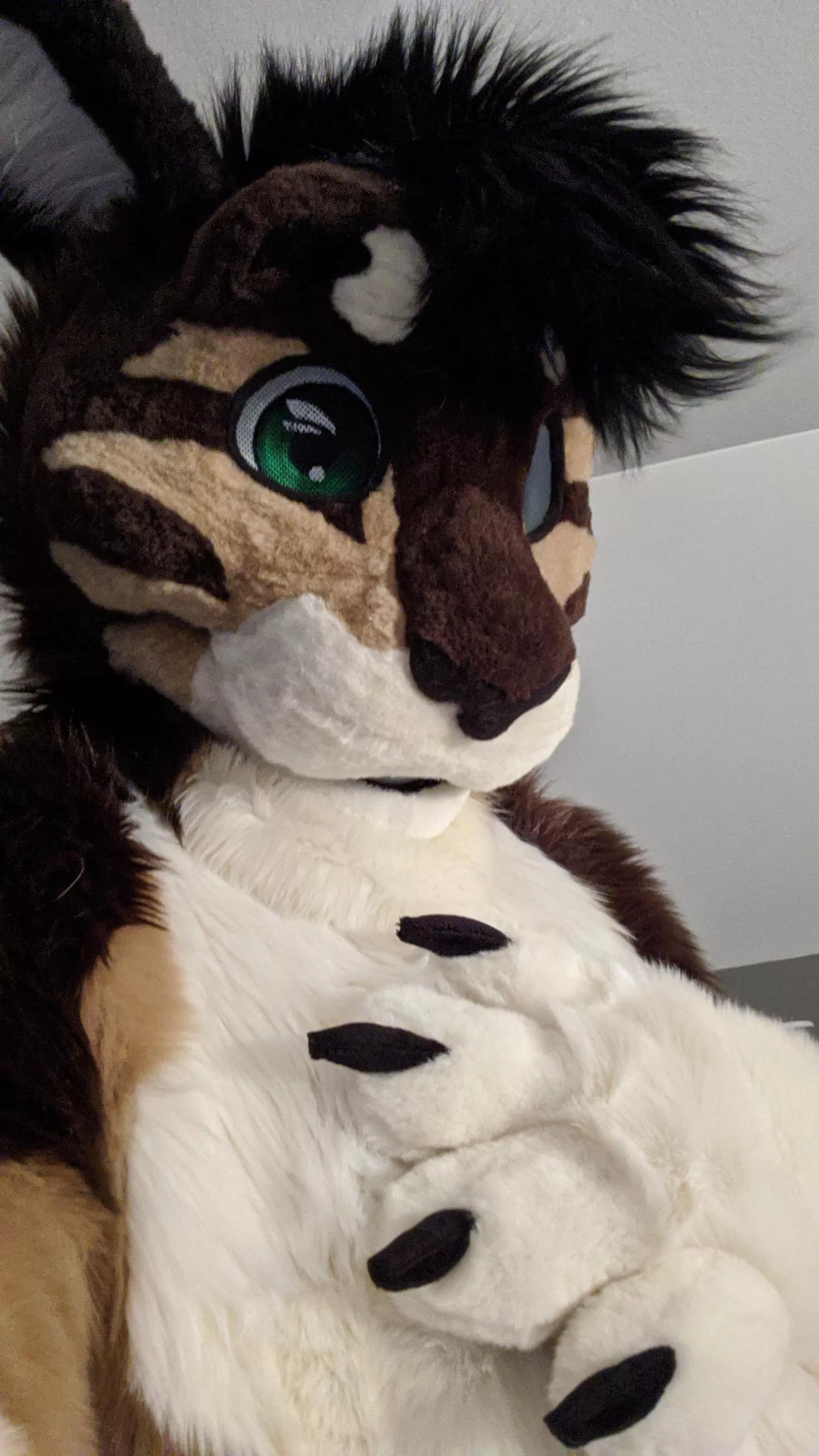 Hello! I’ve been lurking here for a while but I’m finally posting something for Fursuit Friday