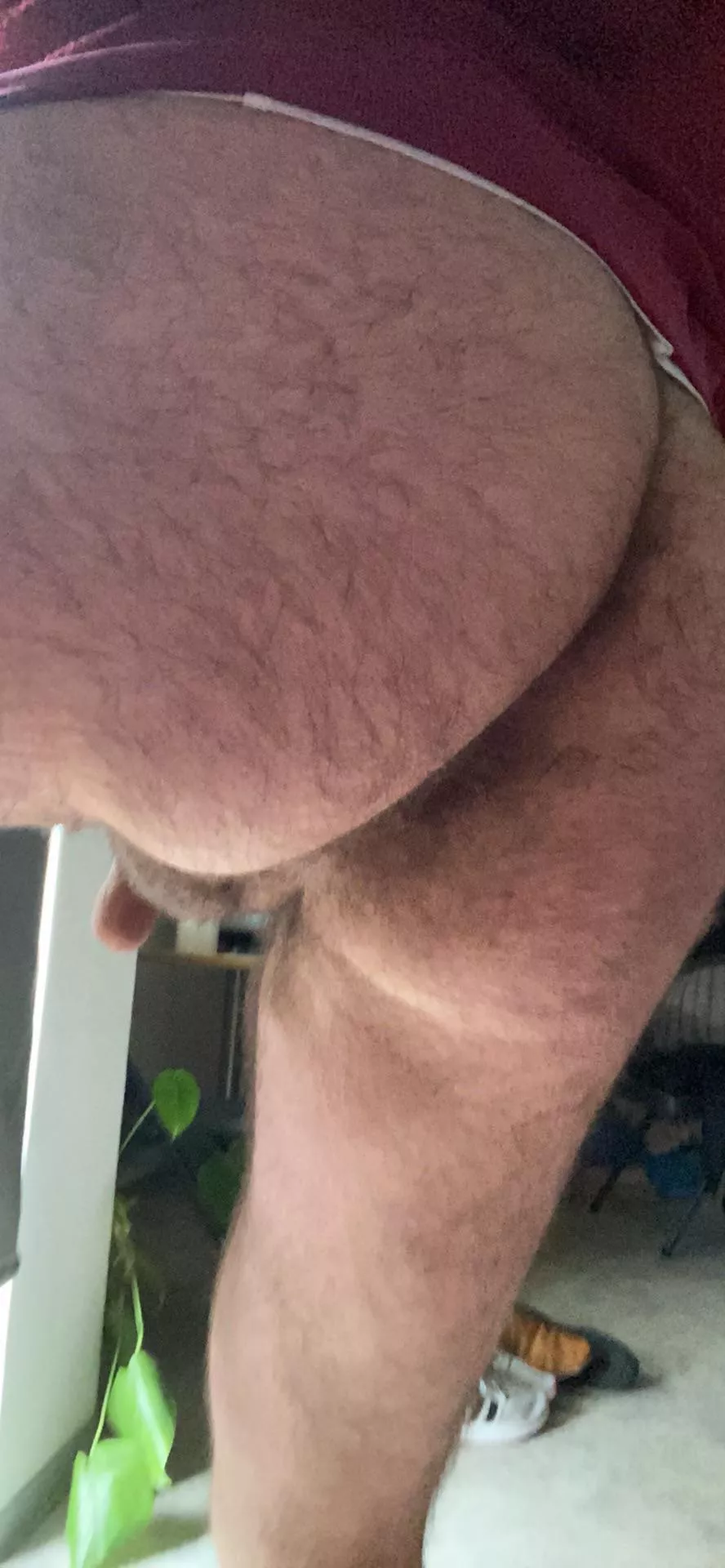 Here a pic off my hairy ass🙈