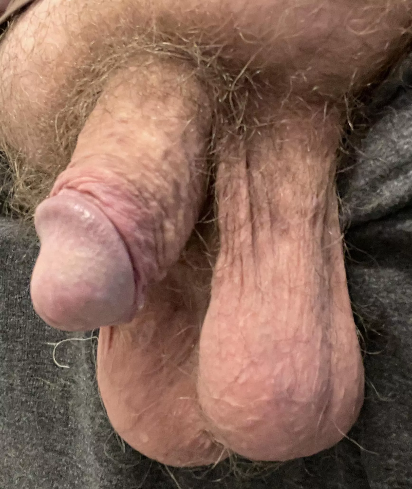 Here are my low hanging nuts with my little cut dick. Comments please, be nice!