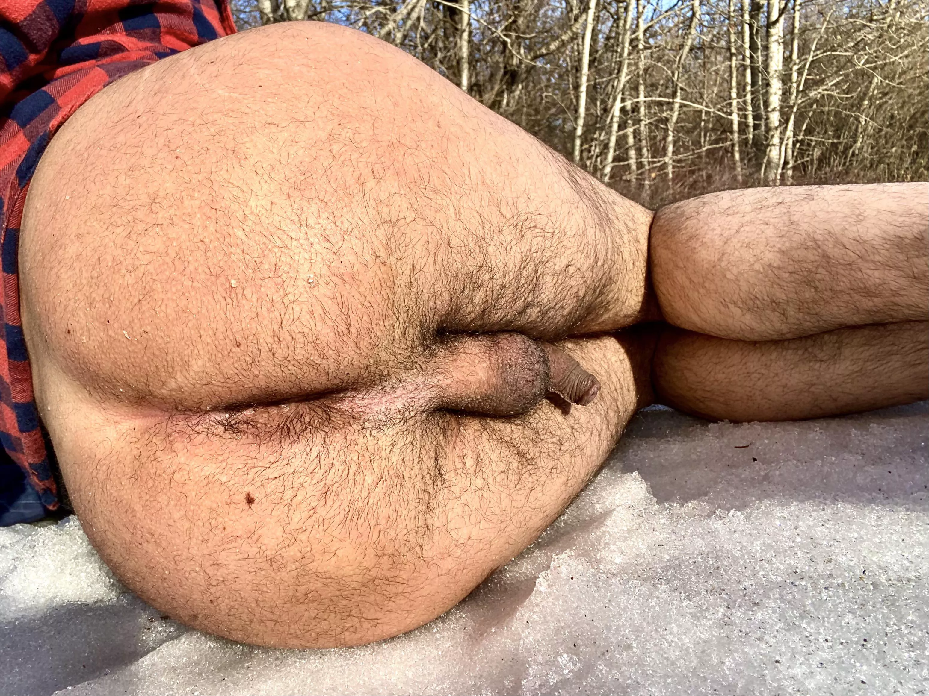 Here's a Canadian ass in his natural habitat