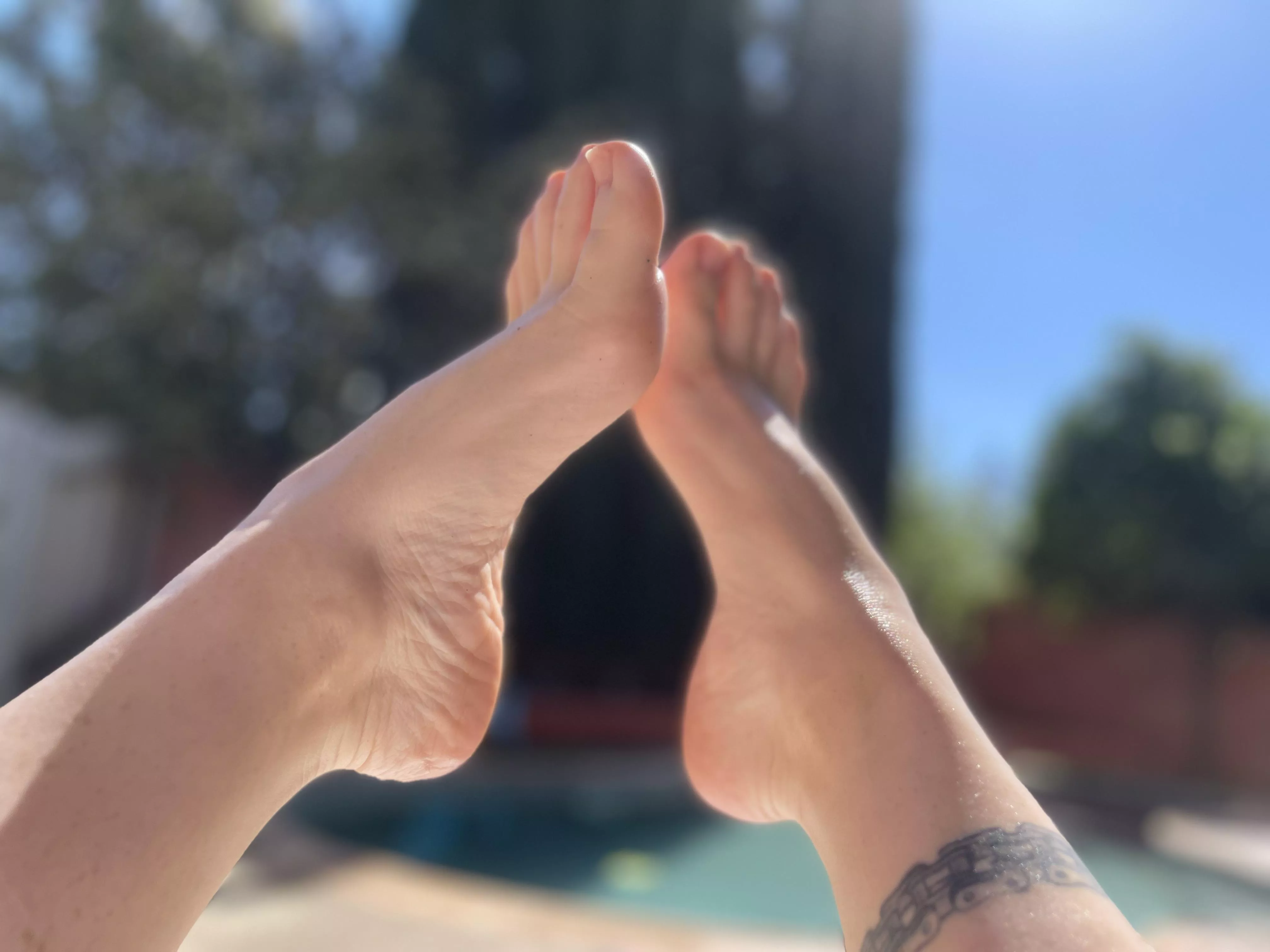 Hereâ€™s my feet today poolside tanning with some oils. Let me know if you want more! #softfeet #feet #milffeet