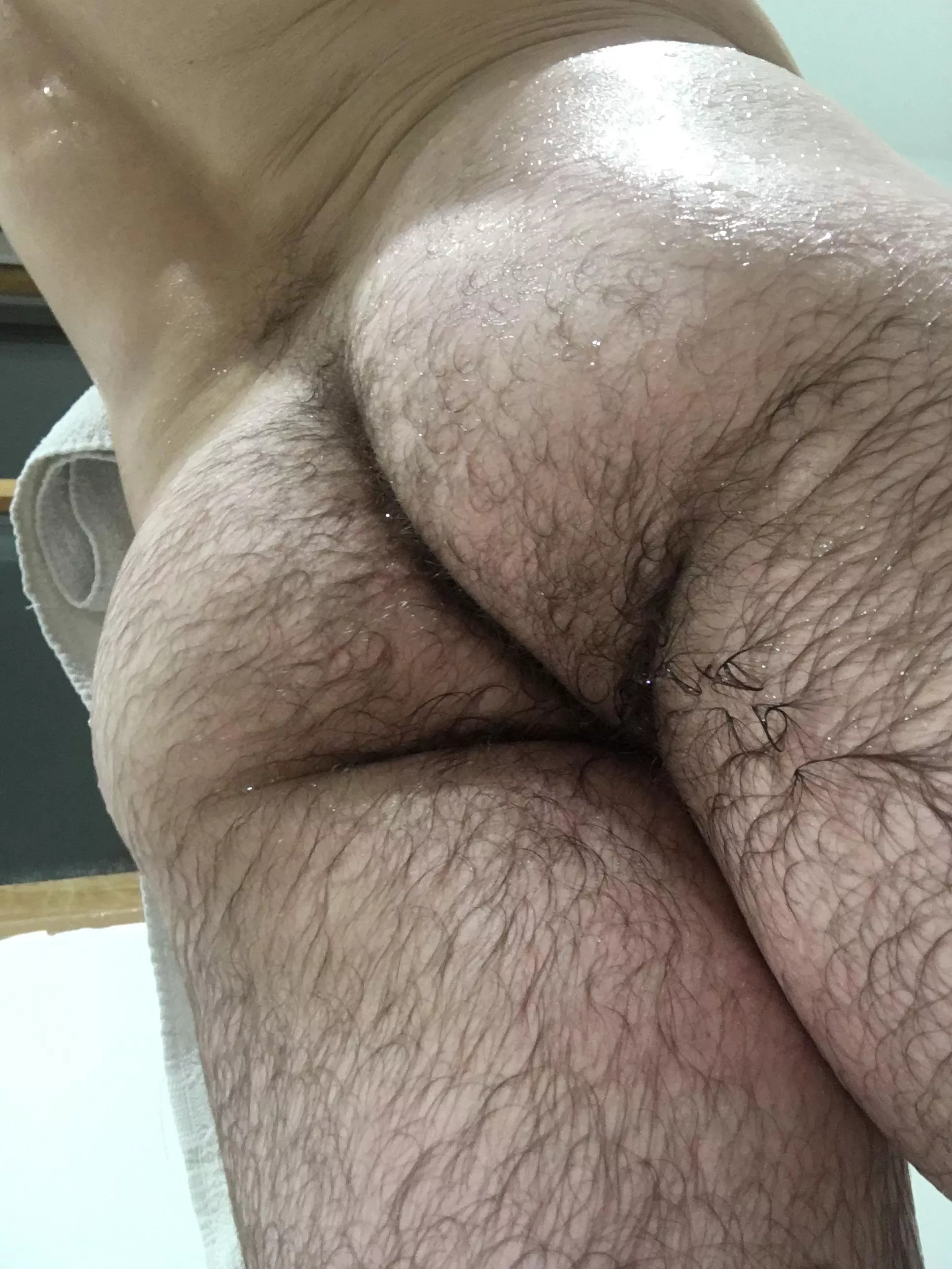 Here’s some hairy butt for you