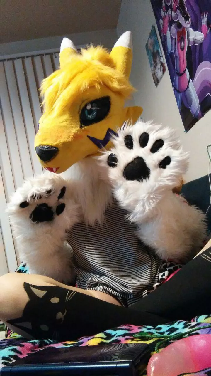 Hey what do you guys think about my renamon suite :) ?