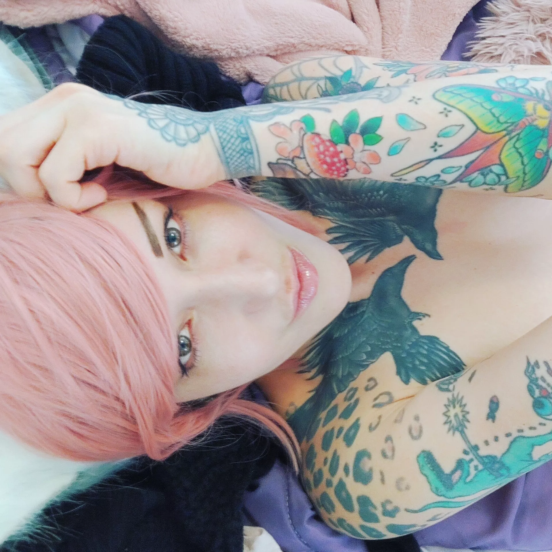 ðŸŒ¸ hiiii! ðŸŒ¸ Im new here! Cute cuddly tattooey kitten, lets be friends!