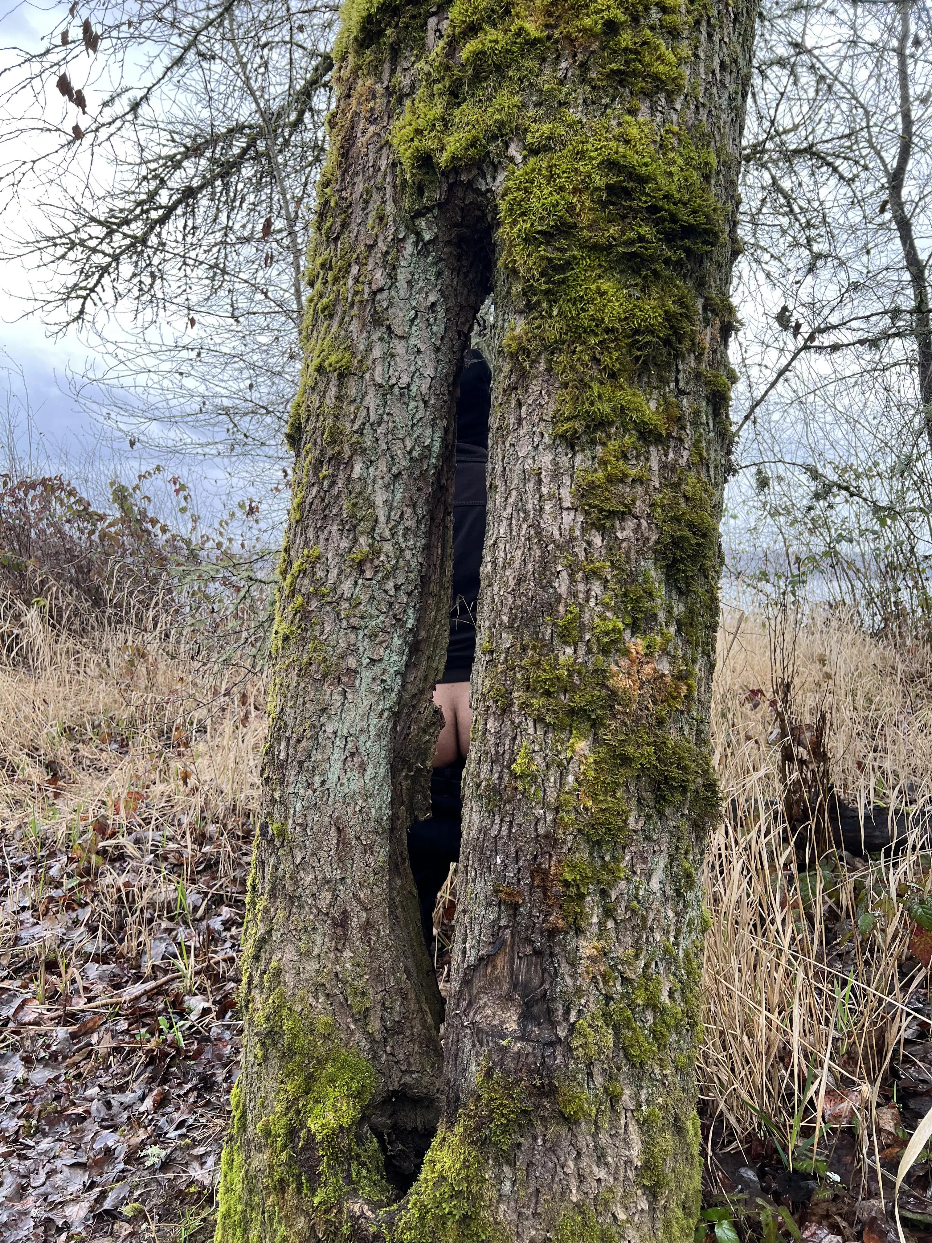 hiking somewhere near portland or