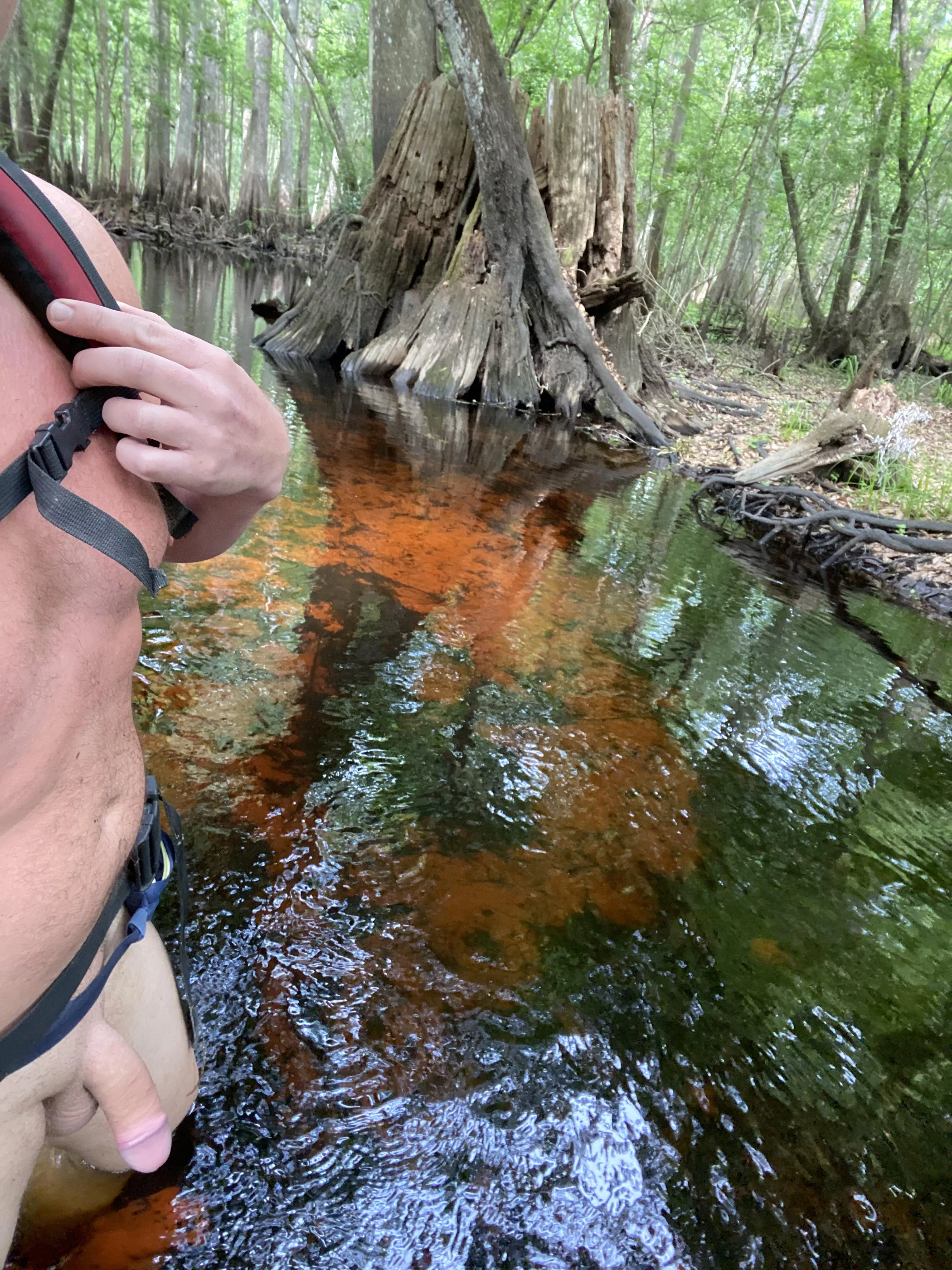 Hiking through the swamp (m)