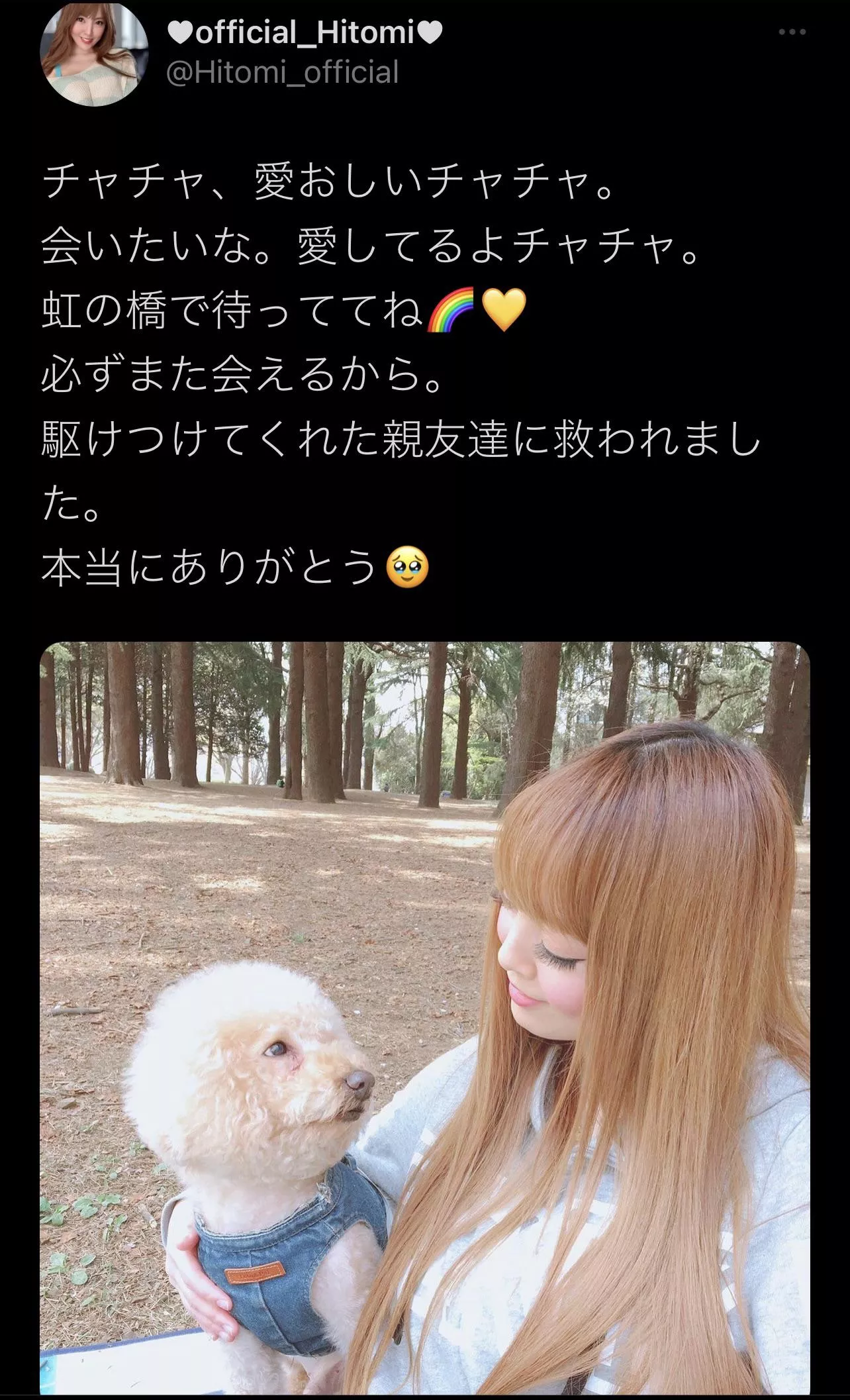 Hitomi announces her dog ChaCha passed away (translation in comments)