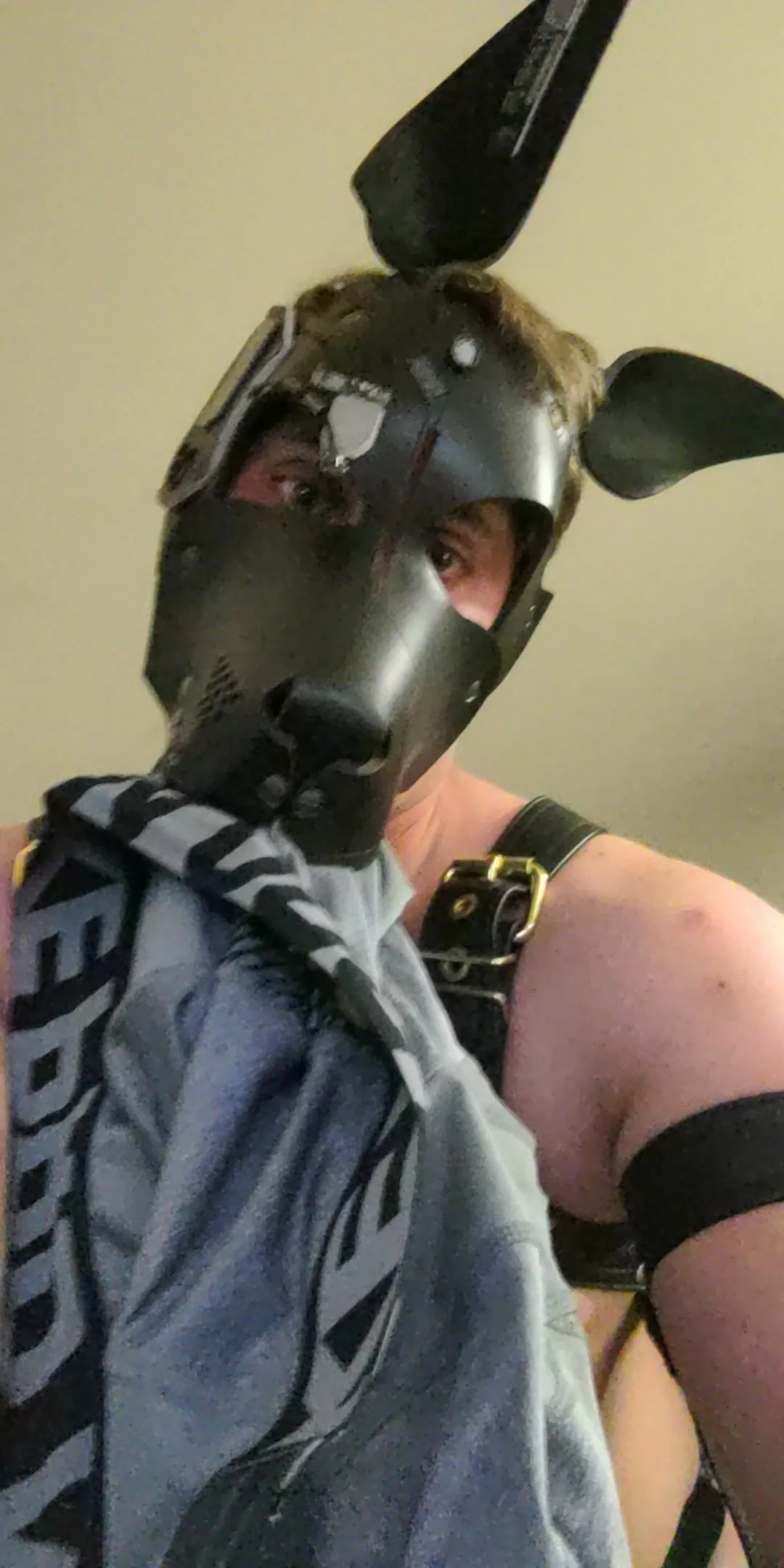 hiya pups! new to Reddit and just trying to say hi and make some friends.