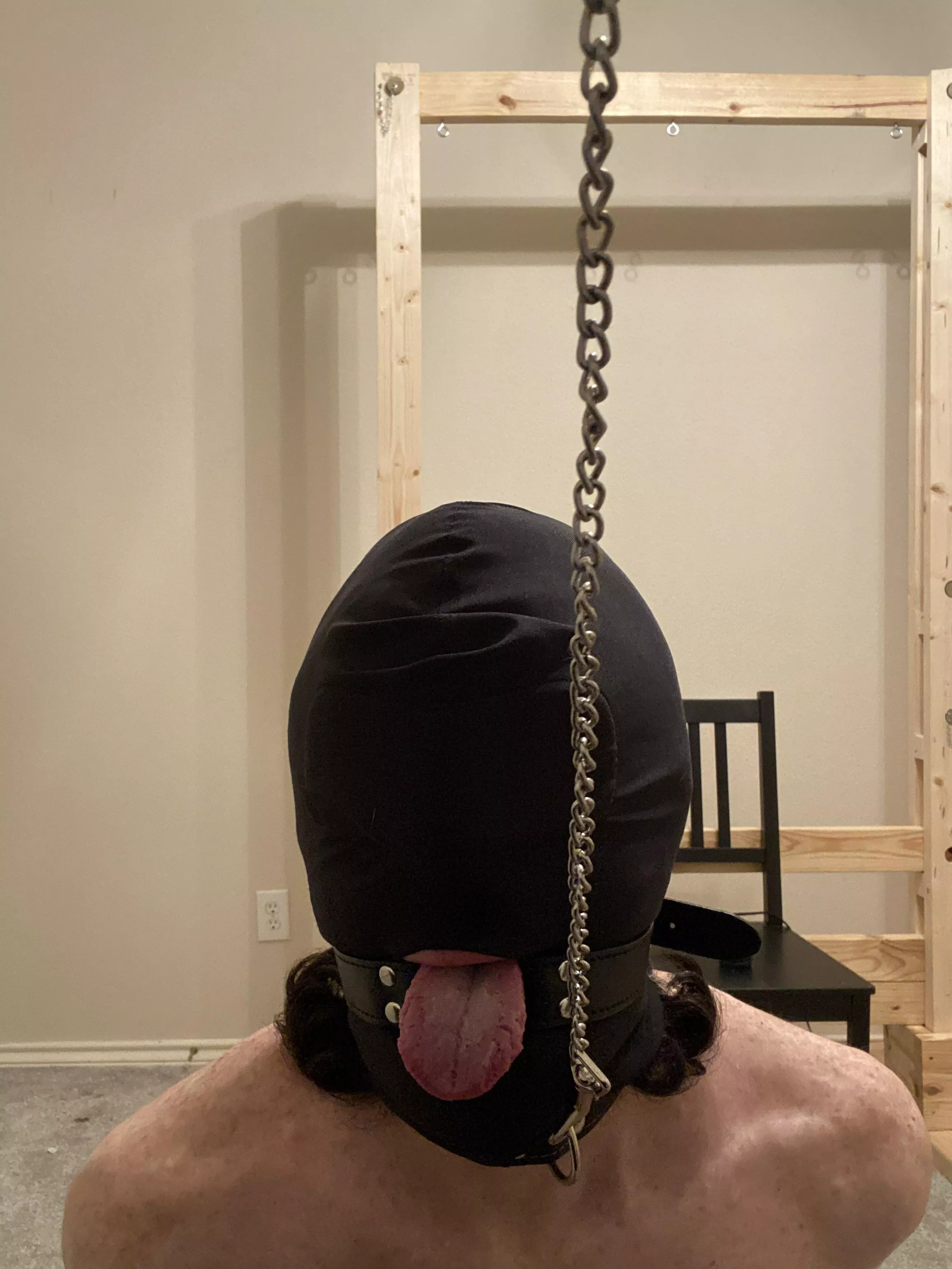 Hooded, gagged, tongue out and on her leash.