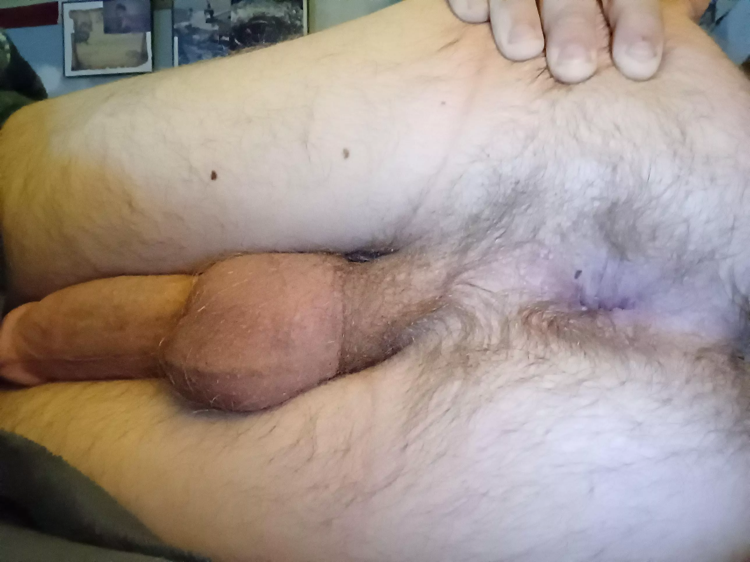 hope you guys like my hairy ass and hard dick