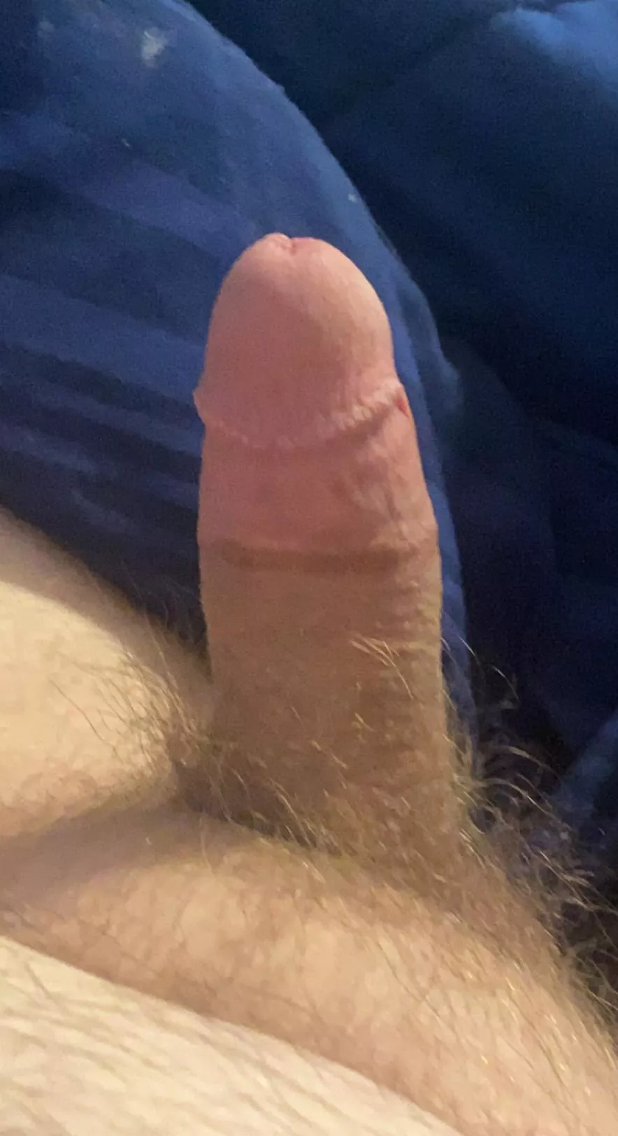 Horny and lonely