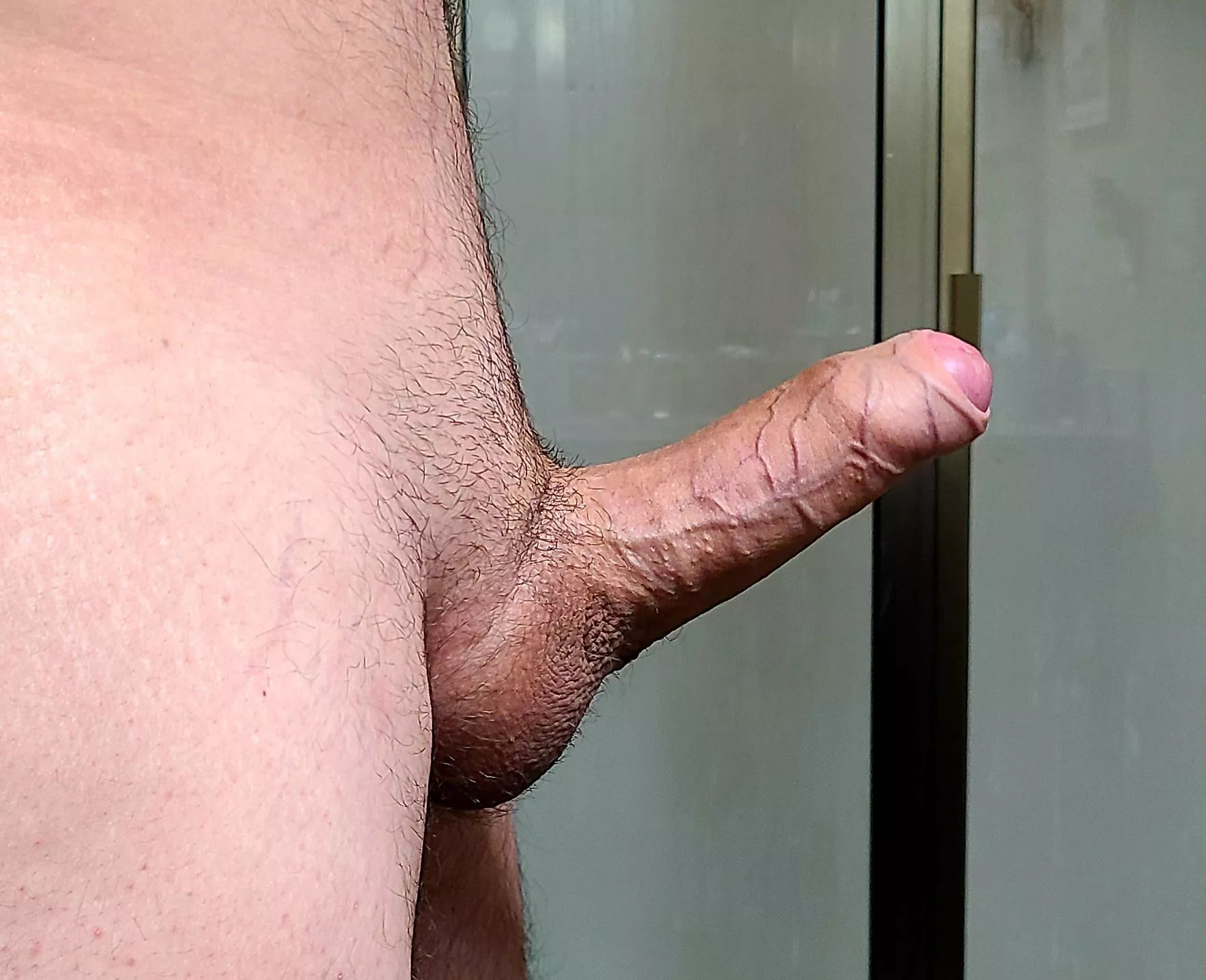 Horny this am