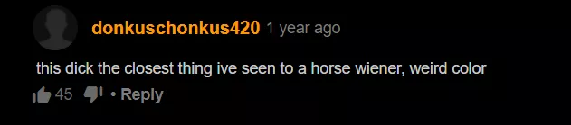 horse weiner