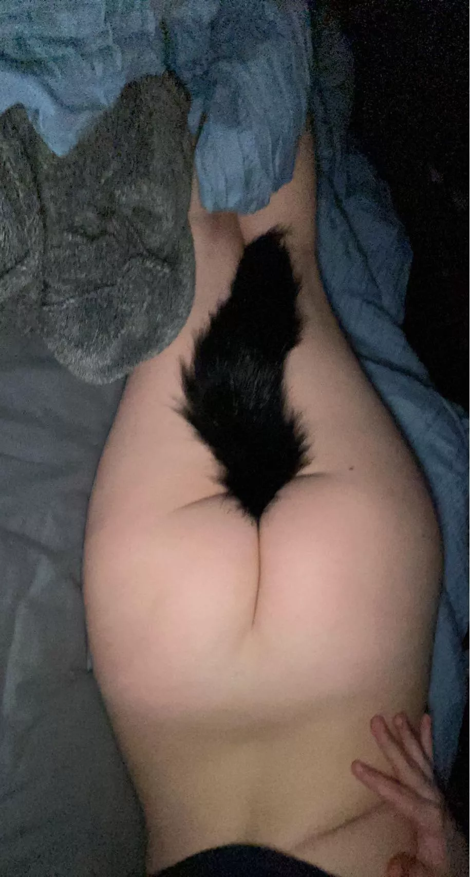 How do you like my tail?