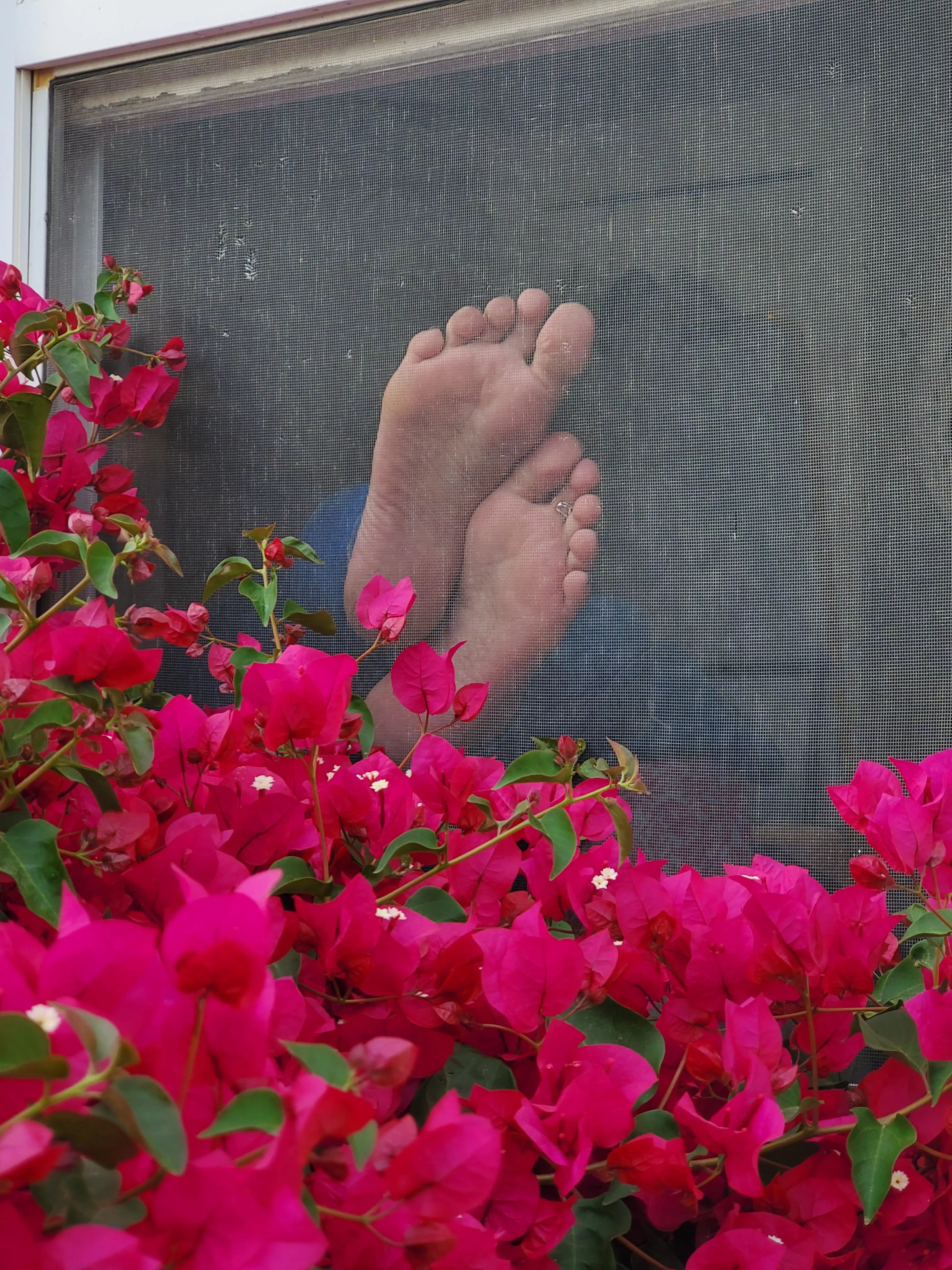 how much would you pay for those tootsies in the window?