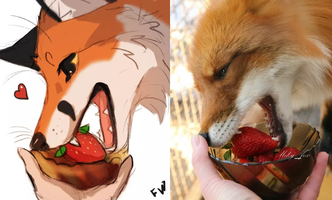 How to make fox happy? Give fox a strawberry. ^^ (By @FlashWhite_)