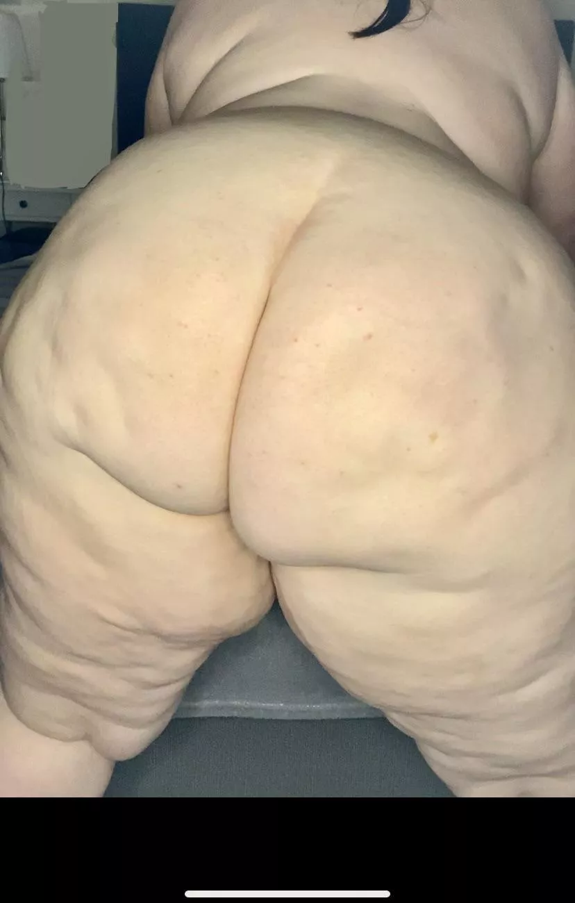 How wide do you think my ass is?