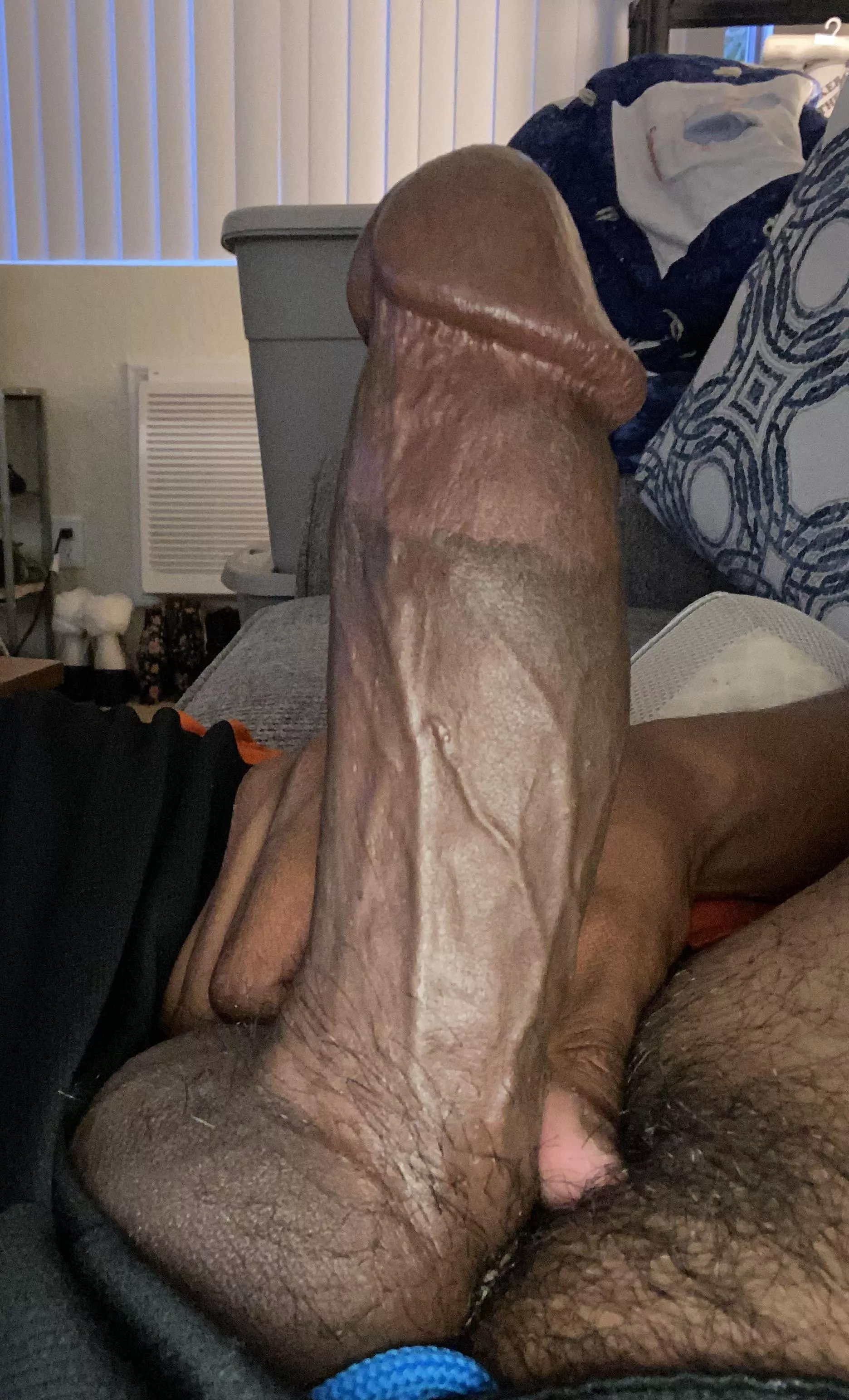 How’s my cut cock looking?