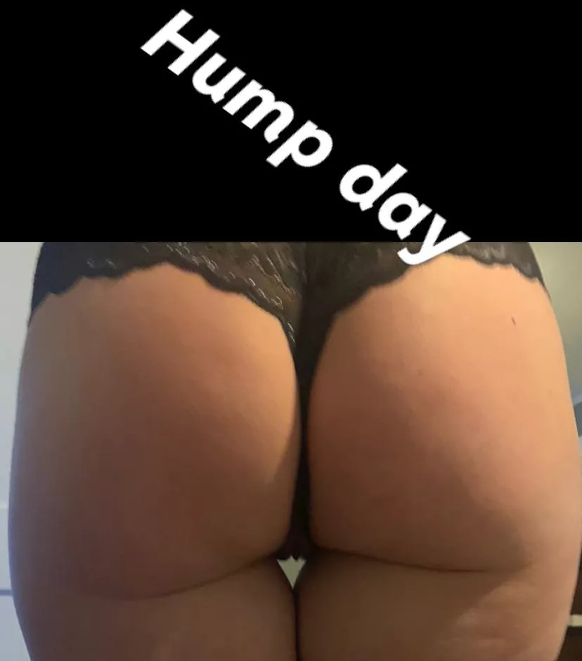 Hump day do you like? F/F