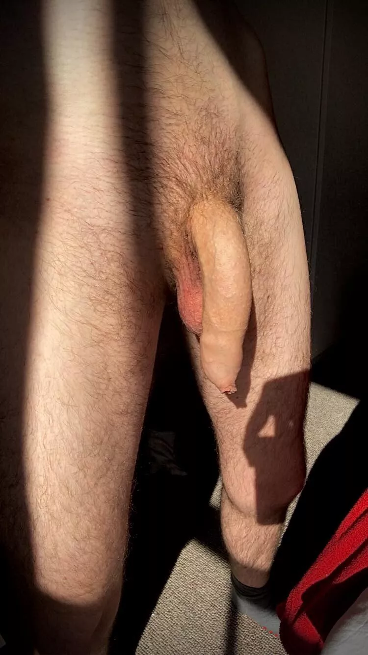 Hung and horny