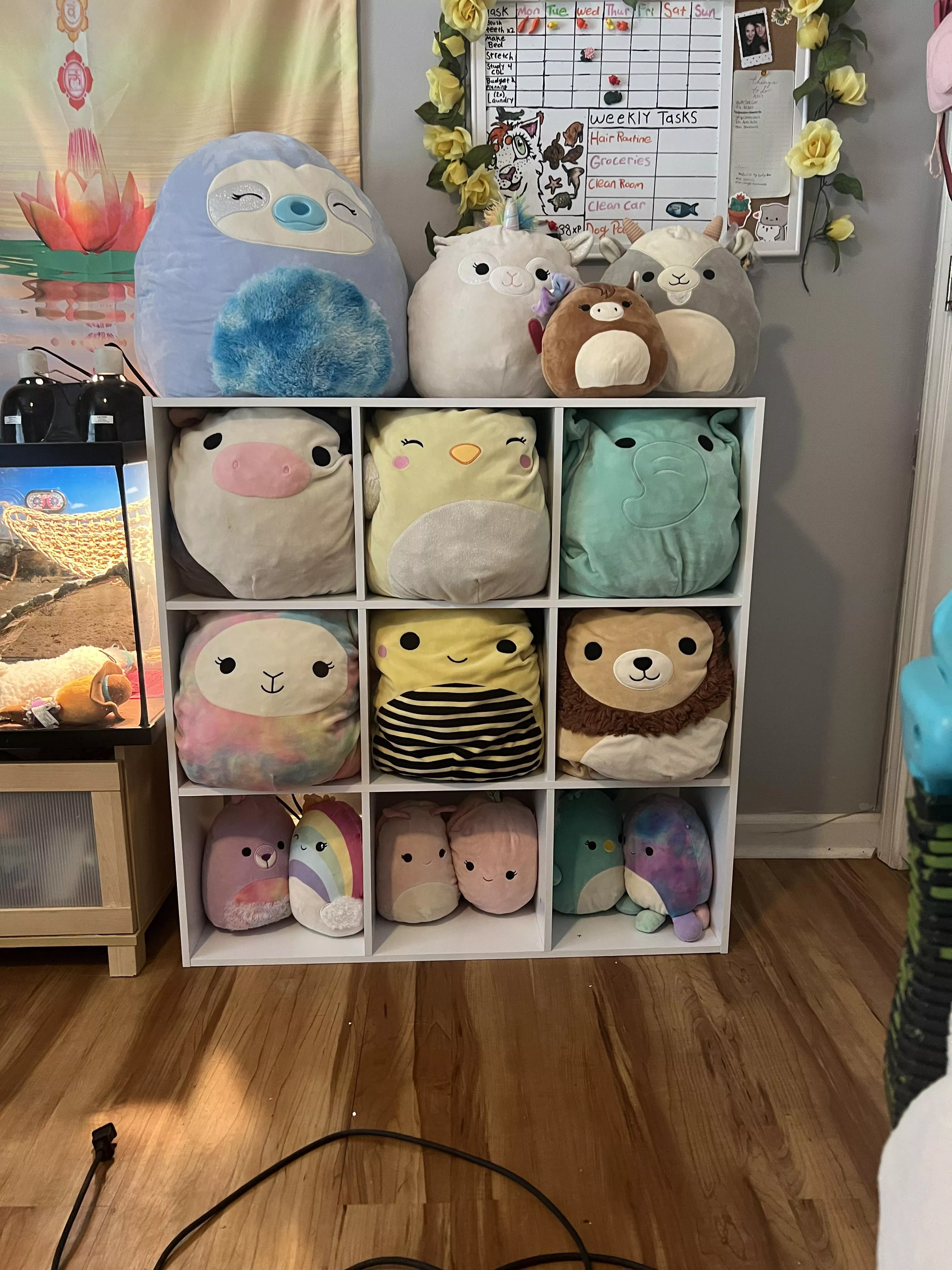 I bought and assembled a 9 cubby shelf just for my Squishmallowsâ€¦ âœ¨ðŸ»