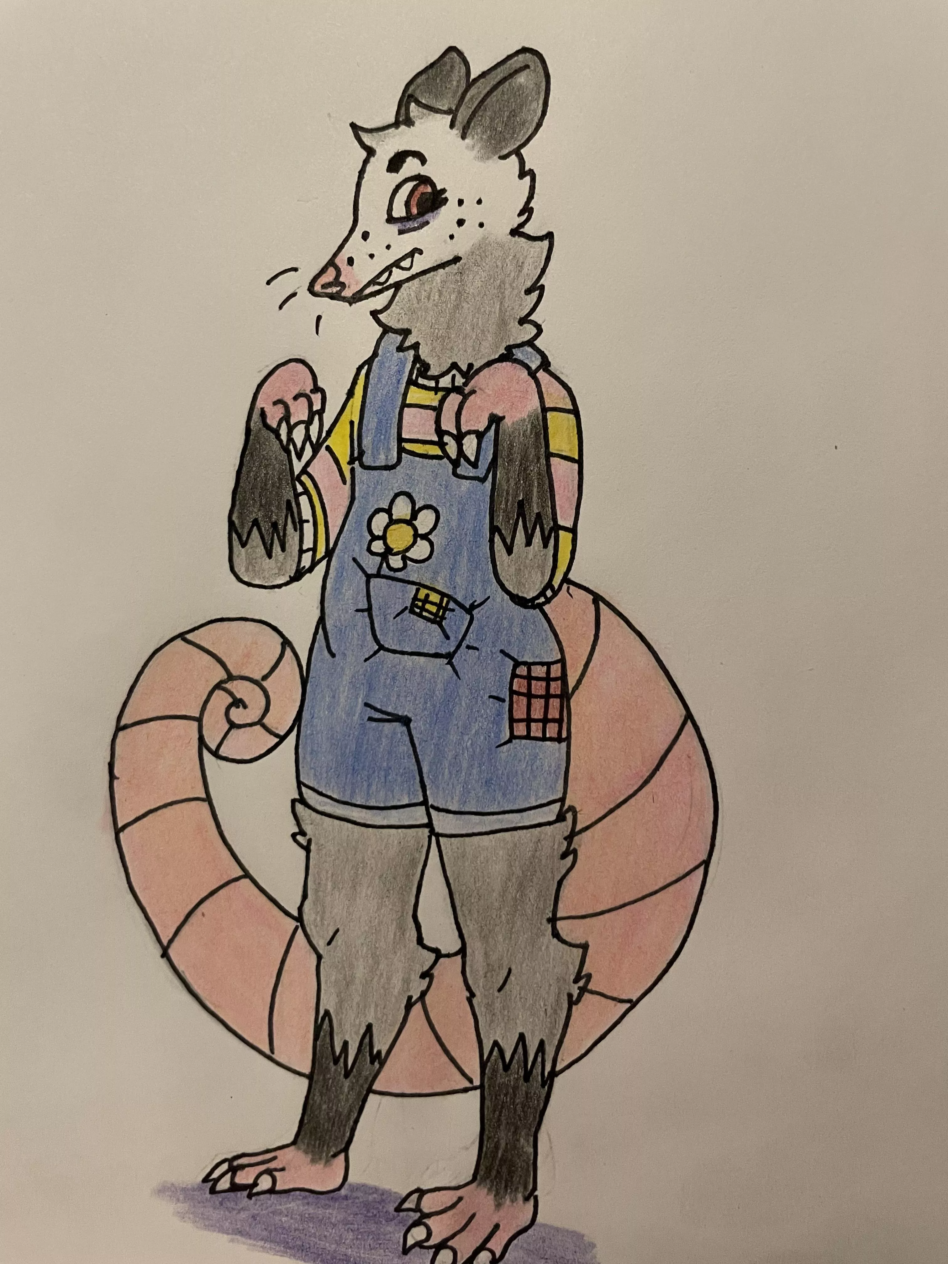 I drew a cute opossum boy!