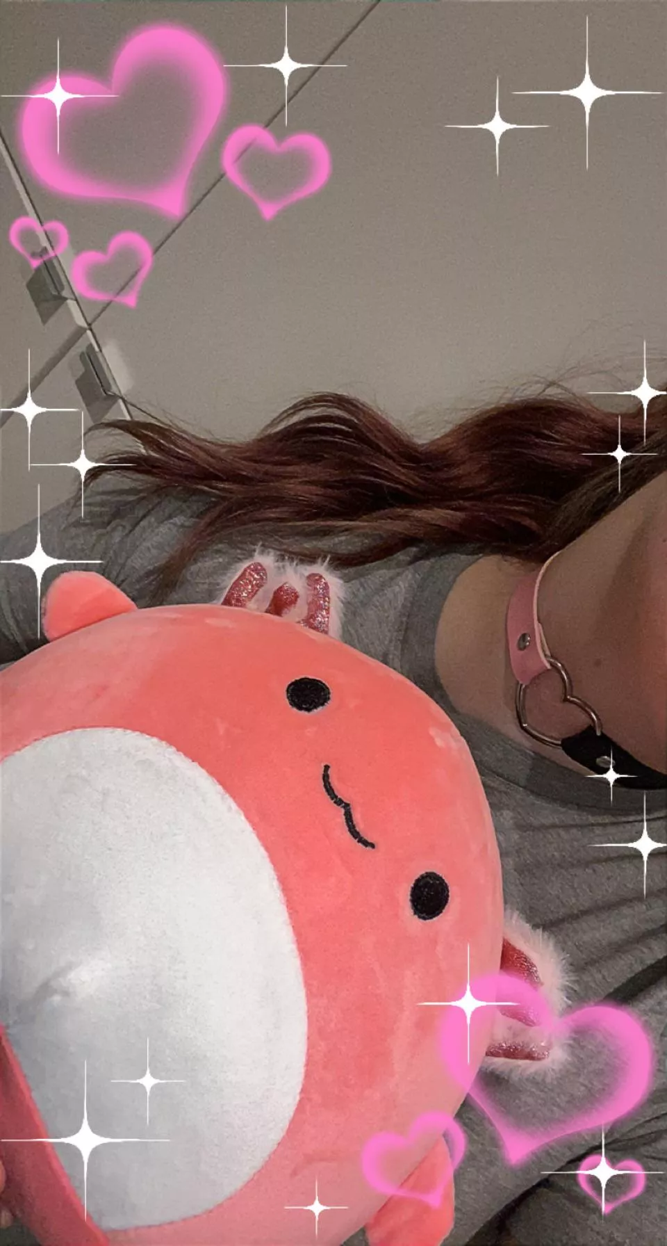 I got a new stuffie and a cute choker🙈 both from my Amazon wishlist! Thank u🥺💕