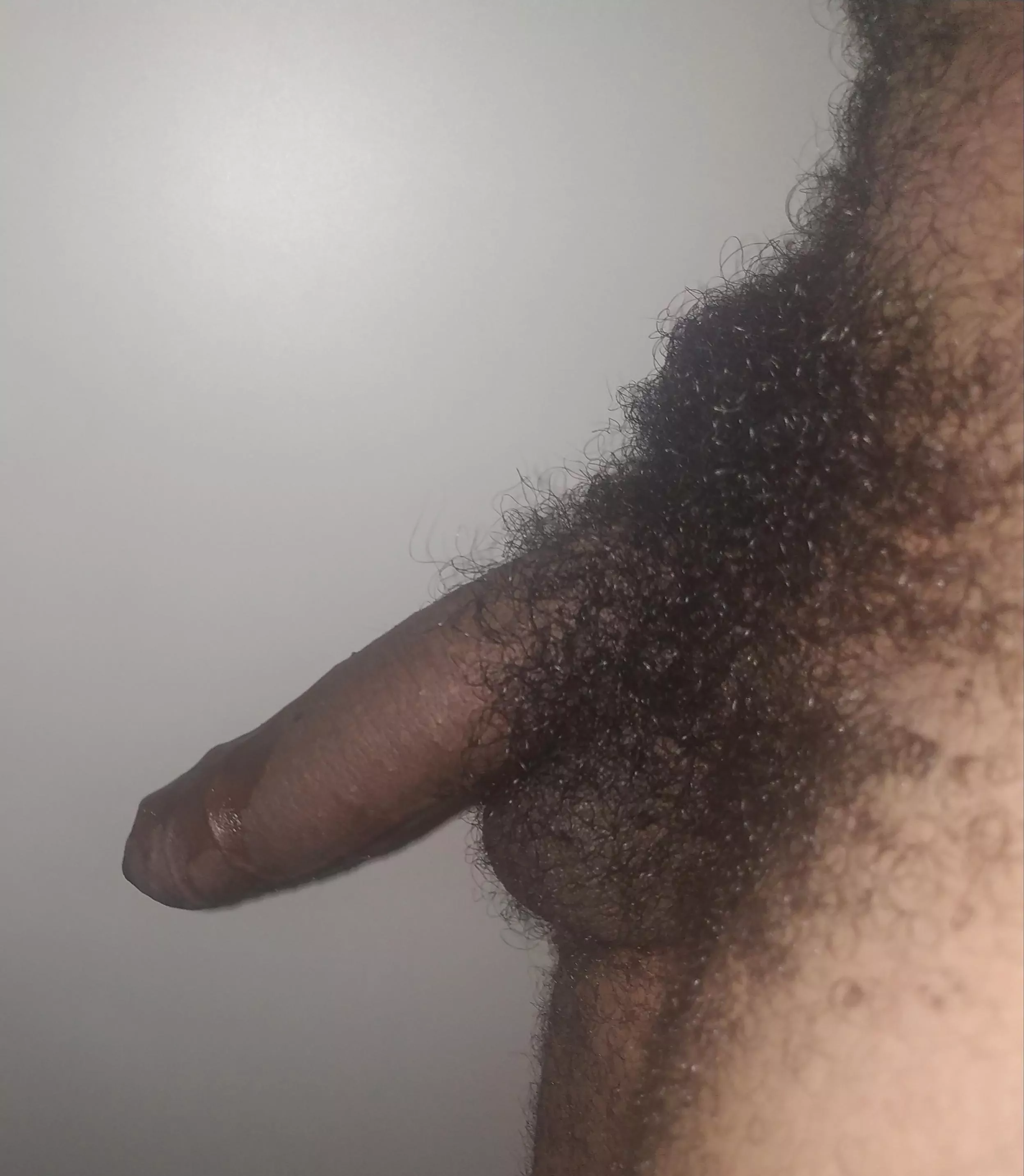 I haven't shaved in years