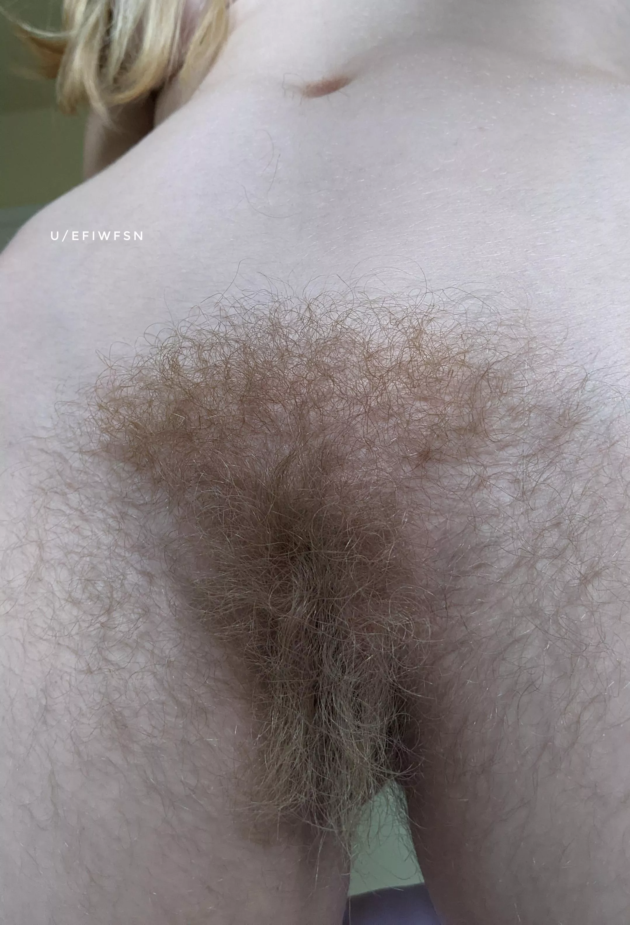 I hope my pussy isn't too hairy for you