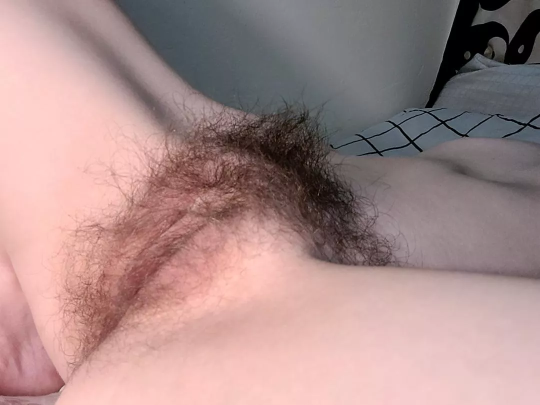 I know my pussy is too hairy for the average person..so I'll post here instead.. ðŸ˜…