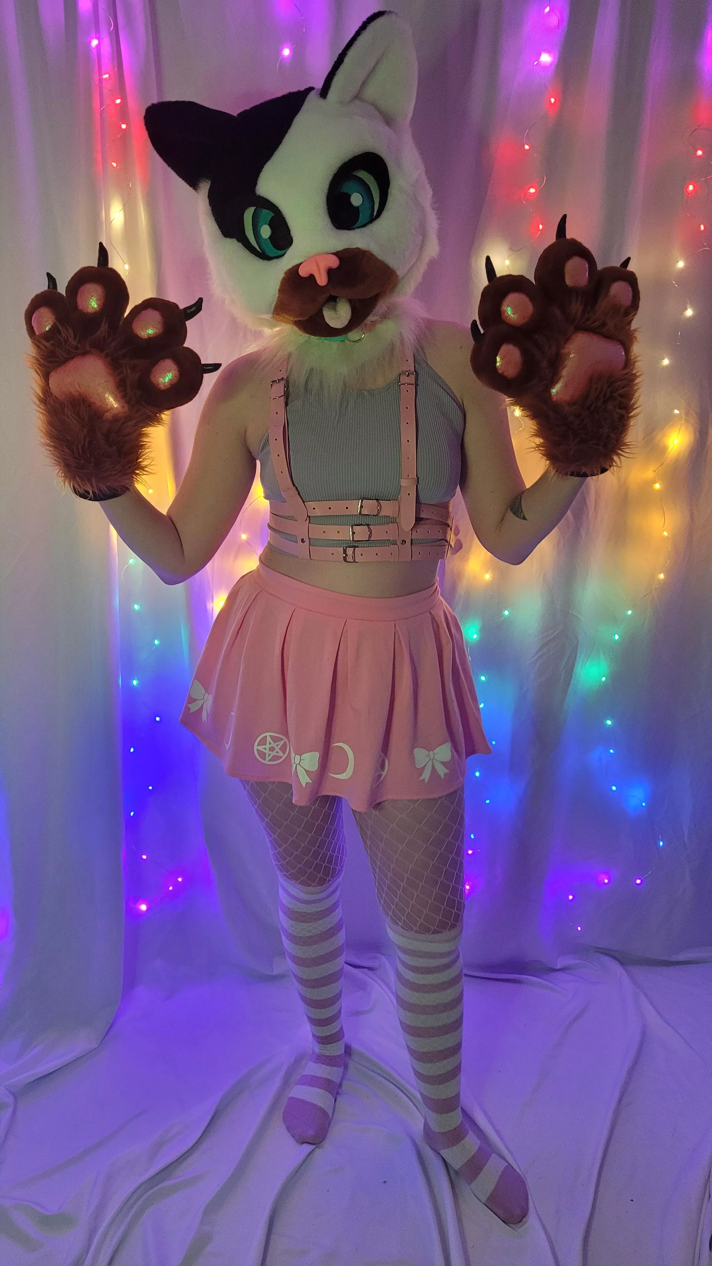 I like to share my partial fursuit ! Give me an high five 😺🐾 Are you team feline or canine ?