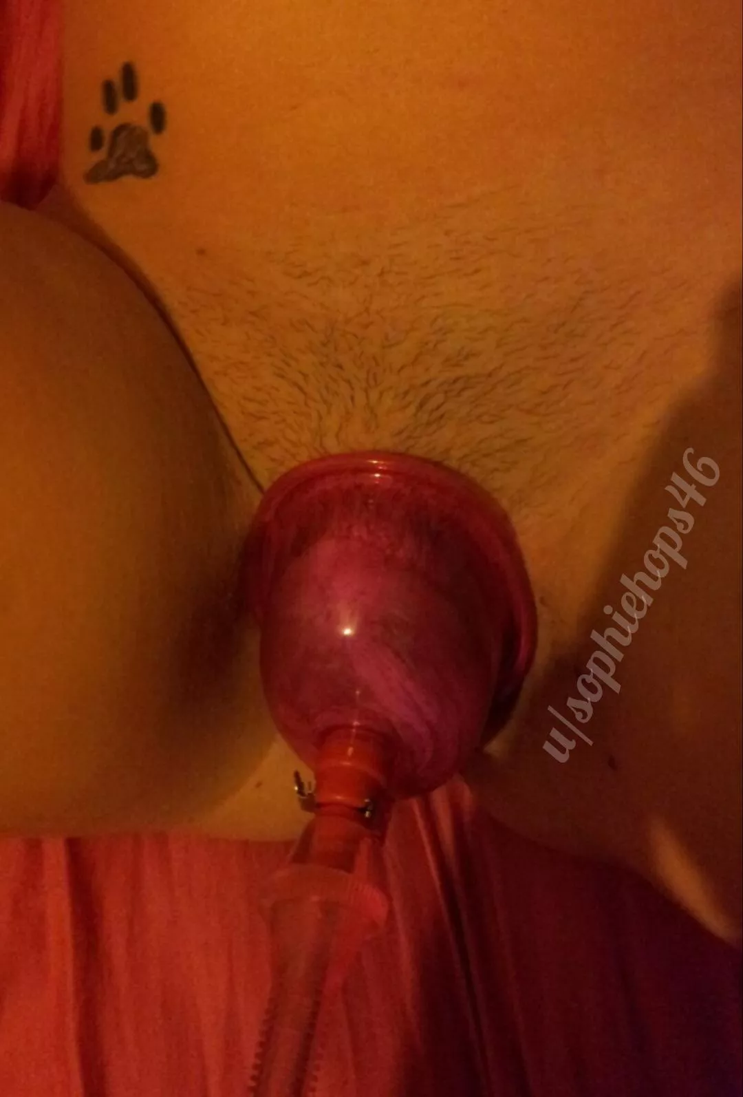 I love how my pussy feels being pumped!