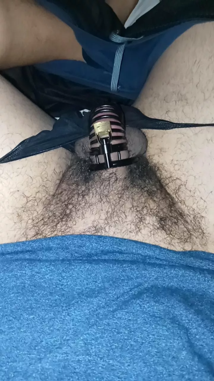 I love the way my hard cock feels trying to get out of its cage