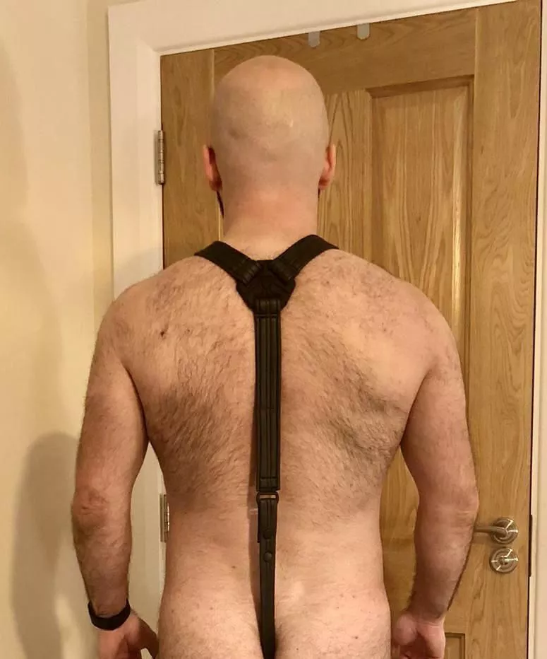 I love wearing my harnessesâ€¦just where does that strap go? ðŸ˜ˆ