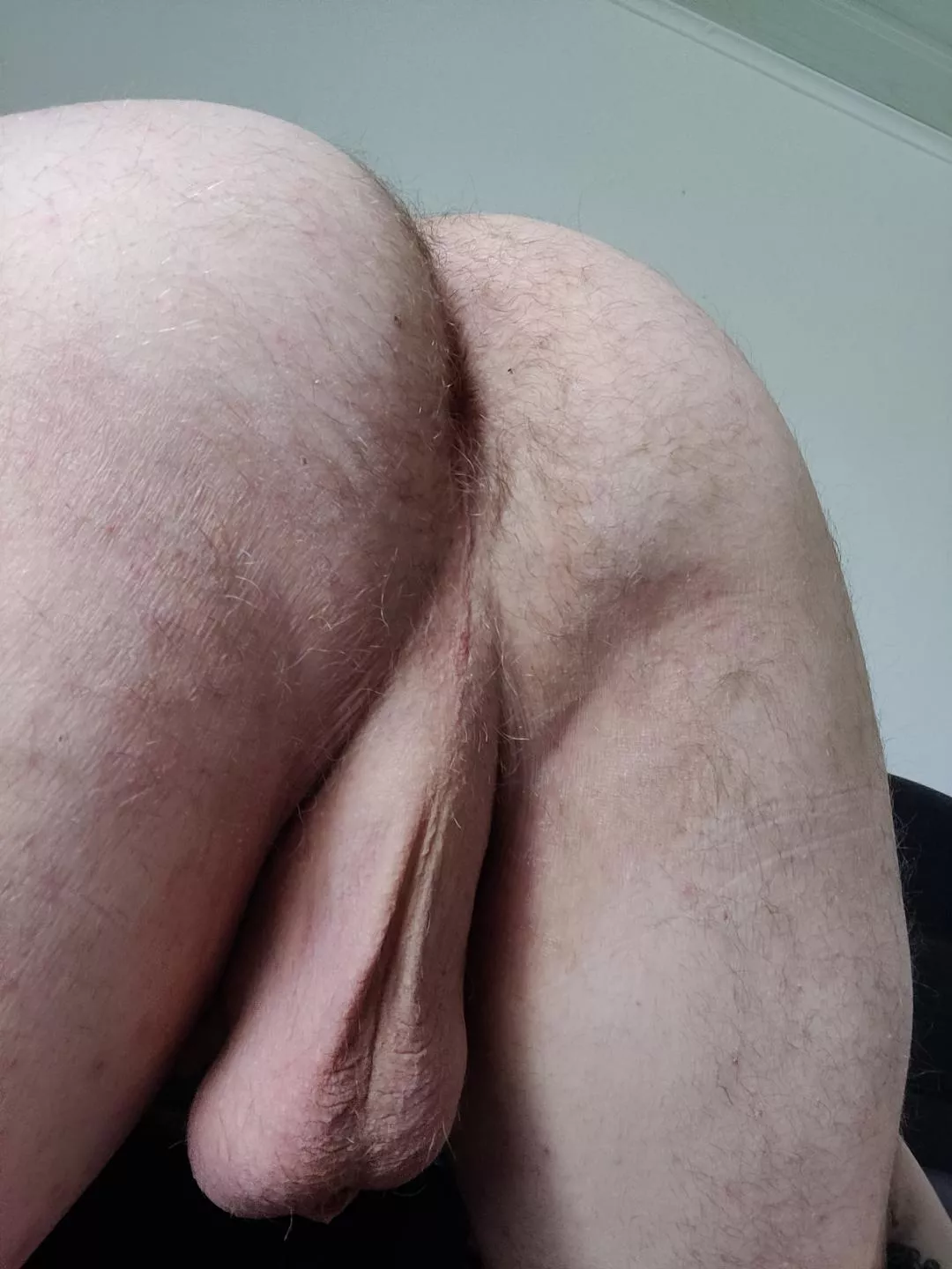 I need someone to breed my hairy hole