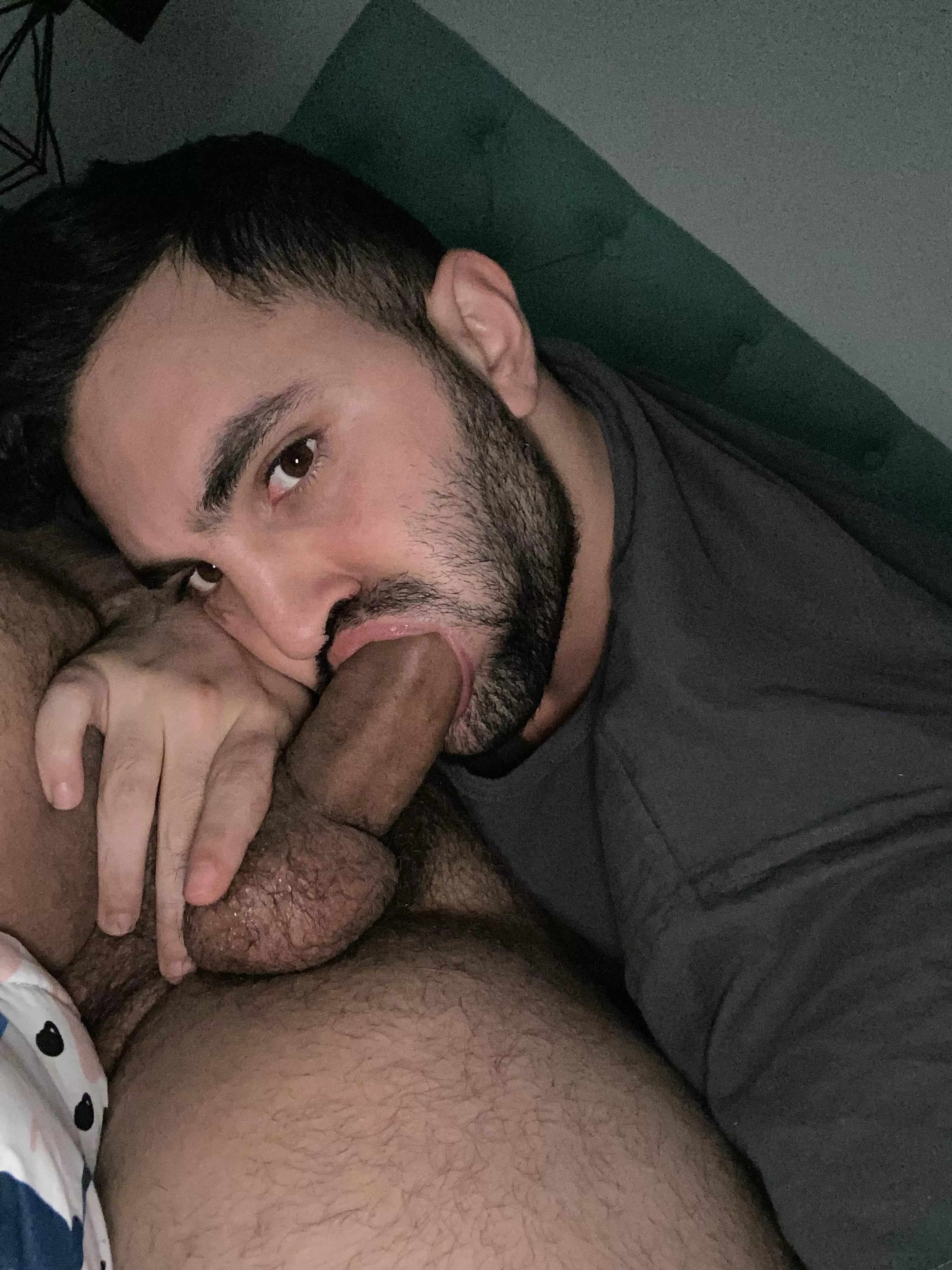 I suck my bear’s dick