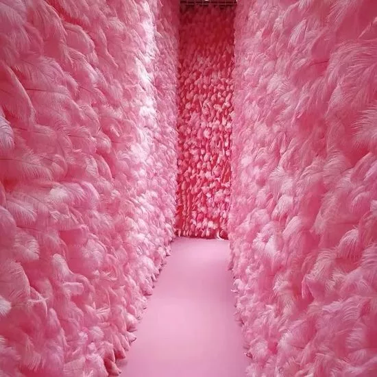 I wanna be in this room