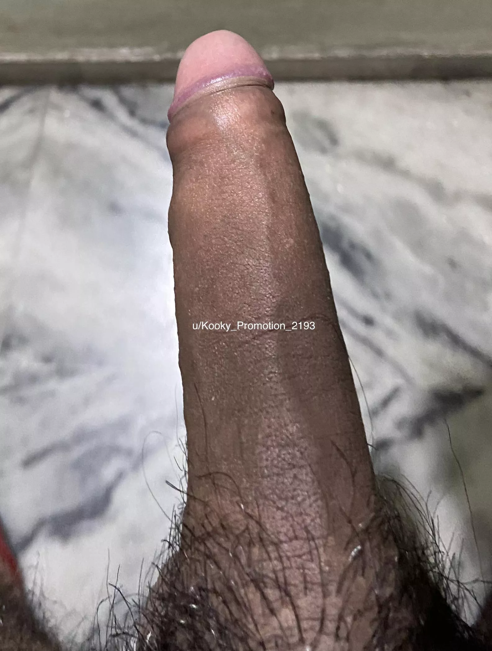 I will fuck your pussy on one condition, I will fuck you raw, and I will cum inside you