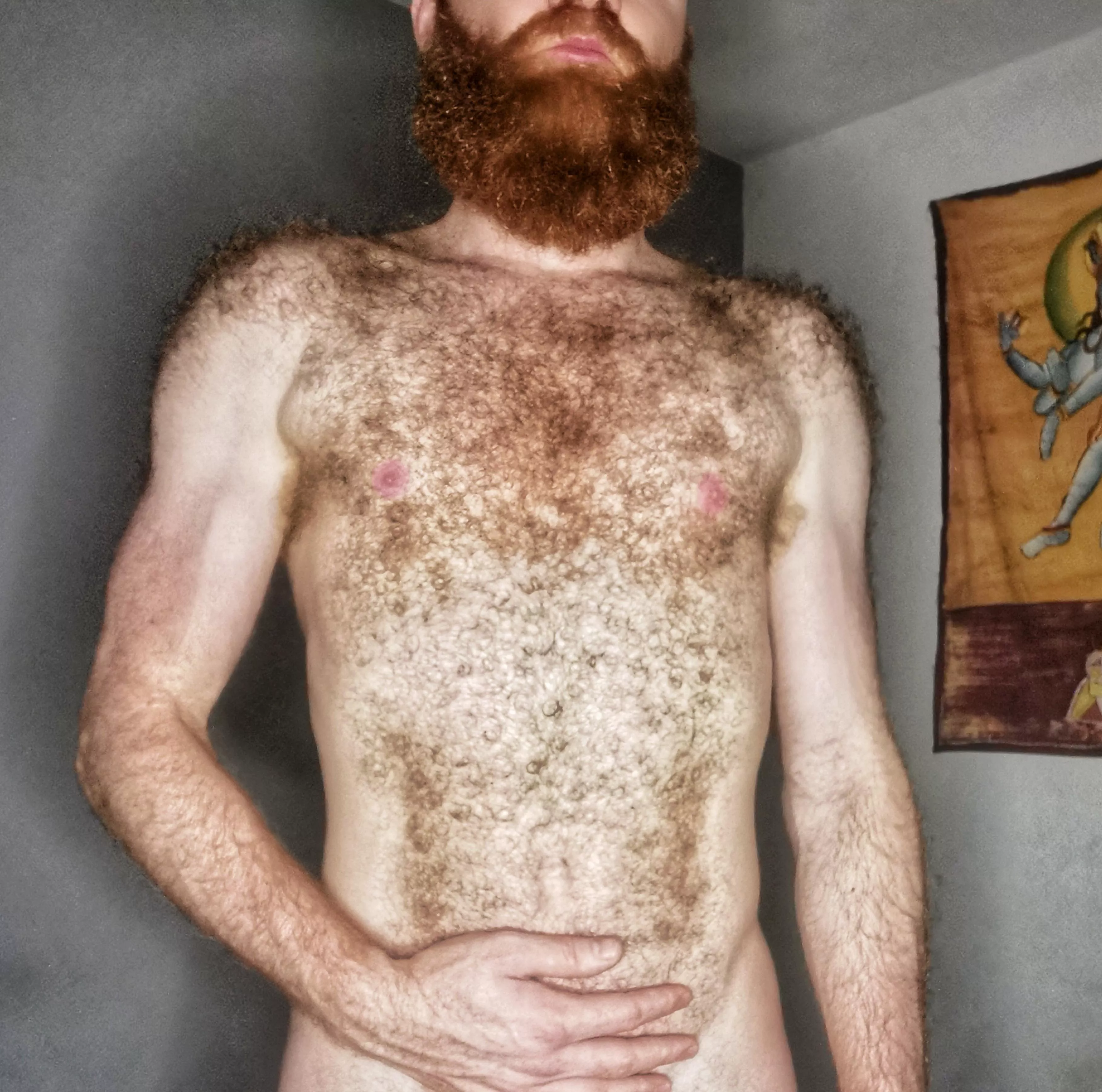 If you like a insanely hairy ginger, vote up and follow 😋