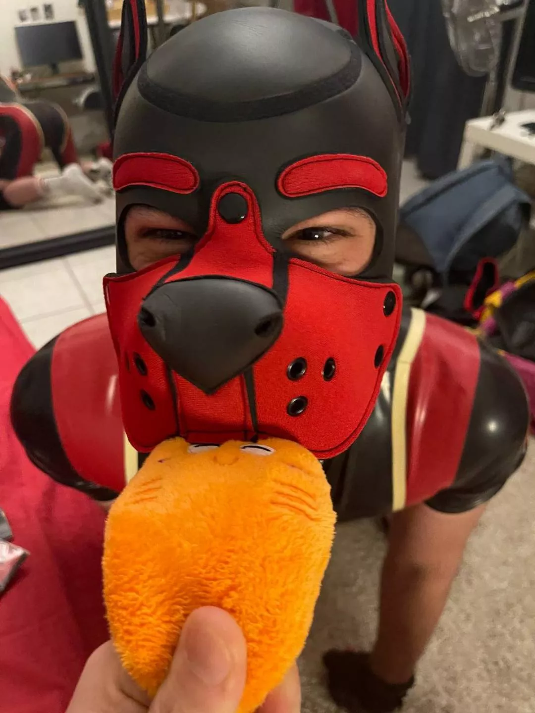 i'm a happy pup, got my first toy!