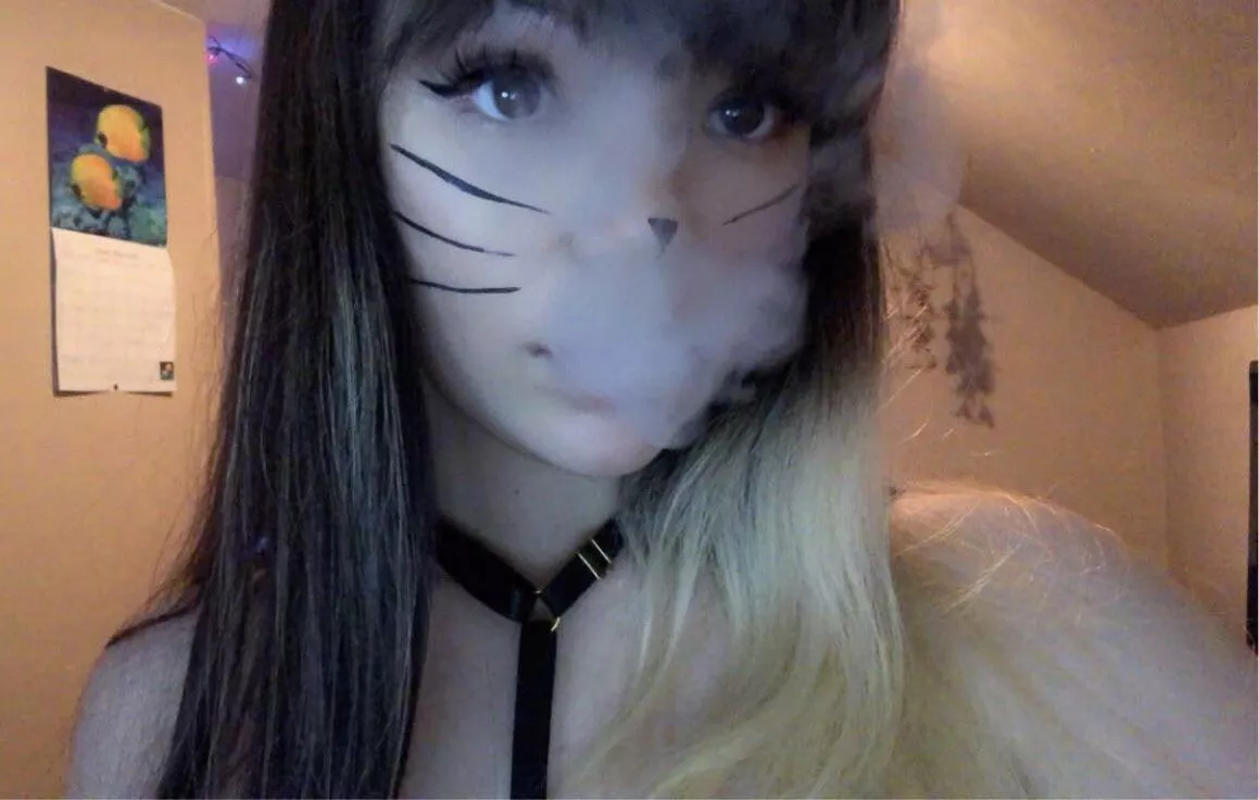 im a kitty today =^.^=