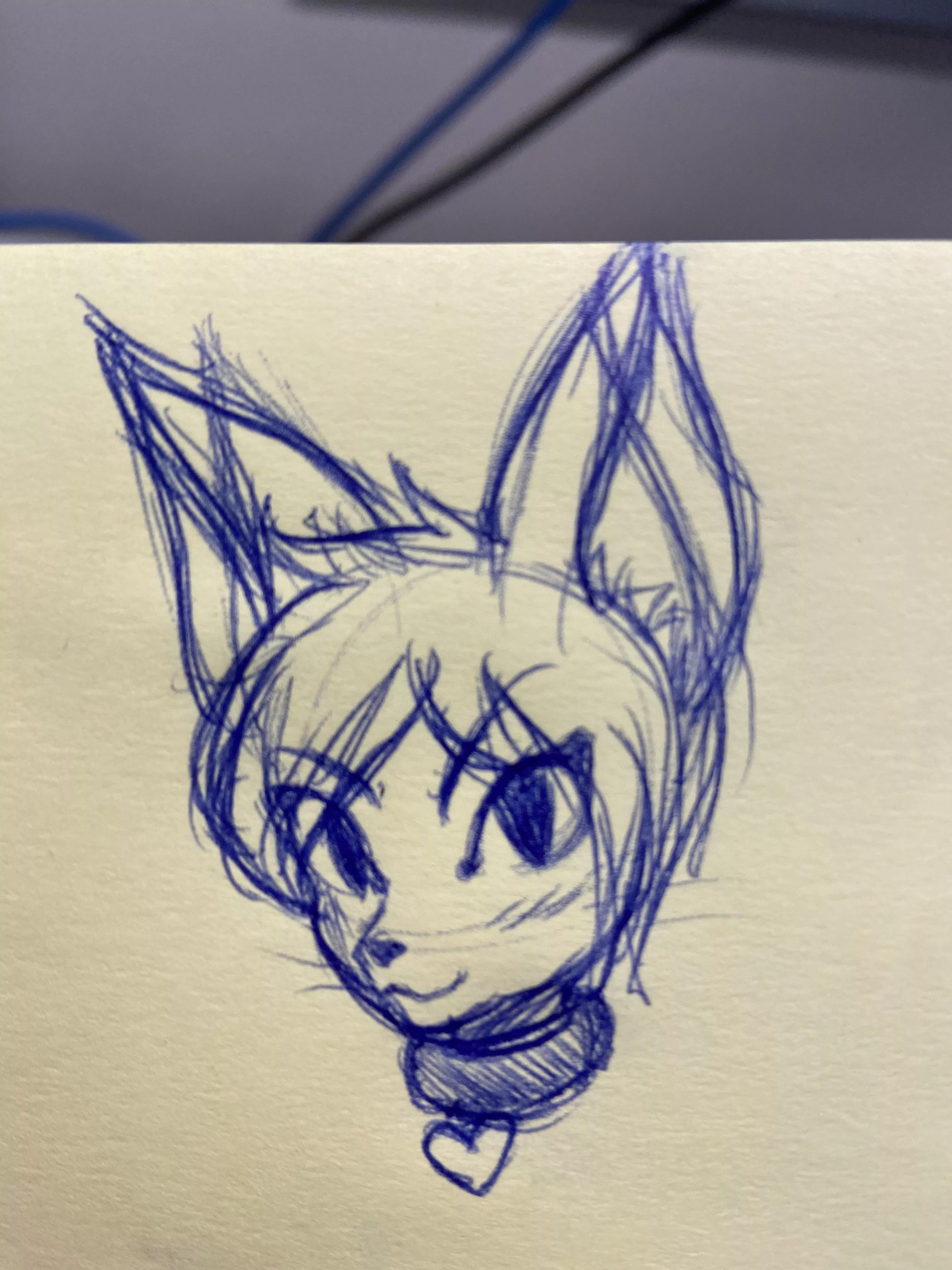 Iâ€™m new to the furry community after wanting to join for a long time but too scared of the stigma against being one, as well as the fear that I donâ€™t qualifyâ€¦ soâ€¦ today I say screw that, Iâ€™m doing what makes me happy. This is just a doodle to i