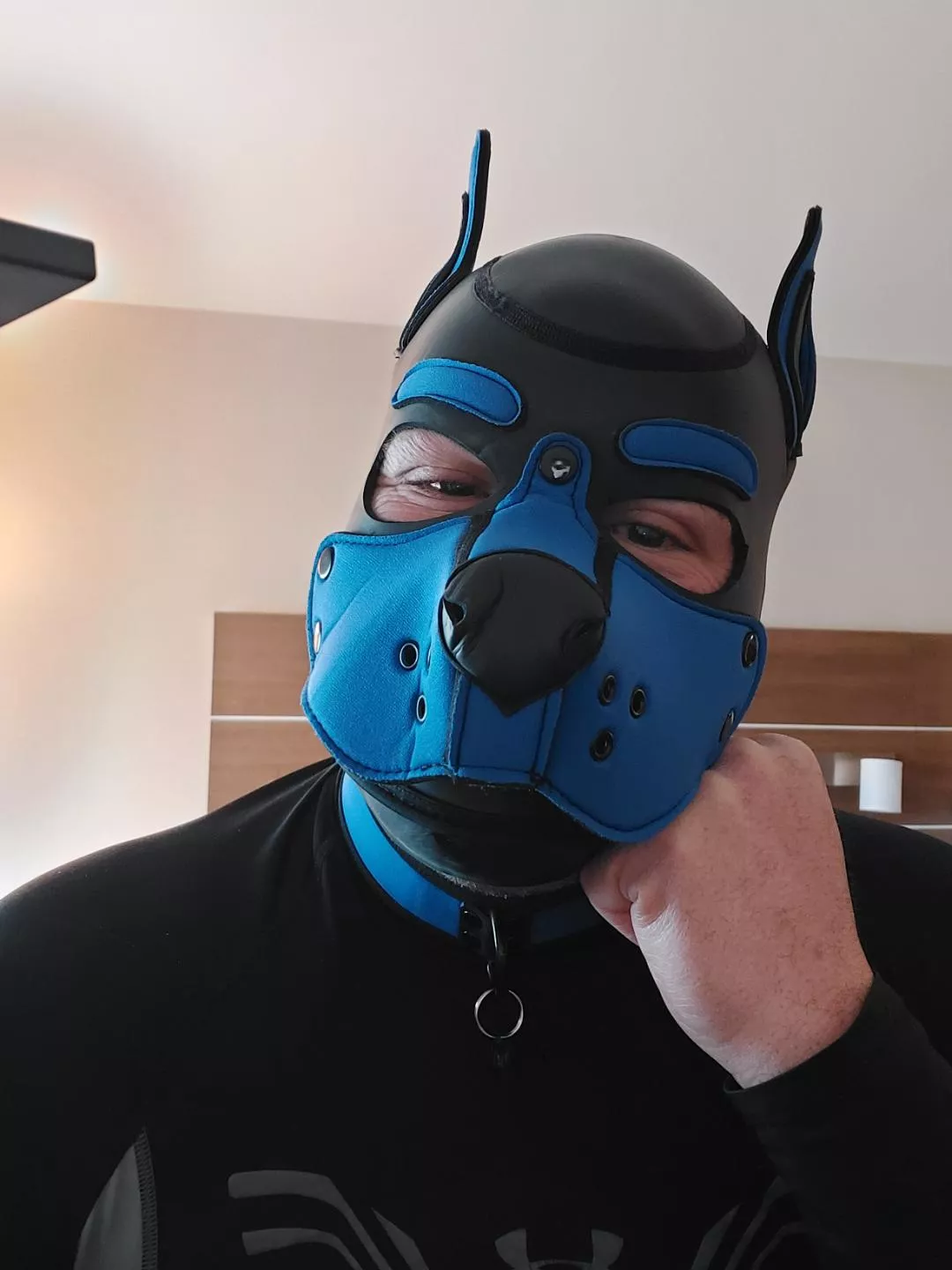 In a playful mood. Where all da pups at?