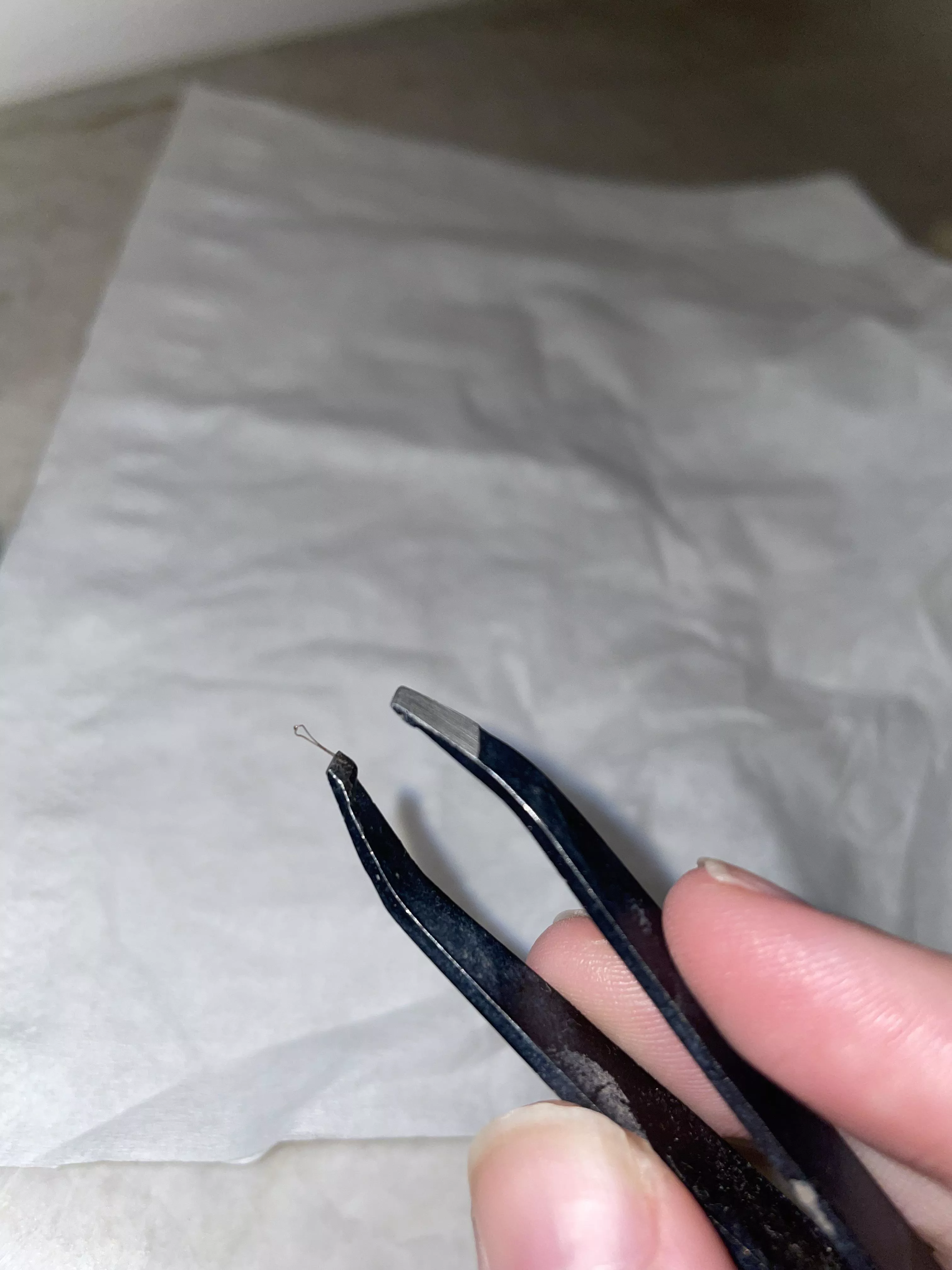 Ingrown hair formed a little loop when I plucked it out